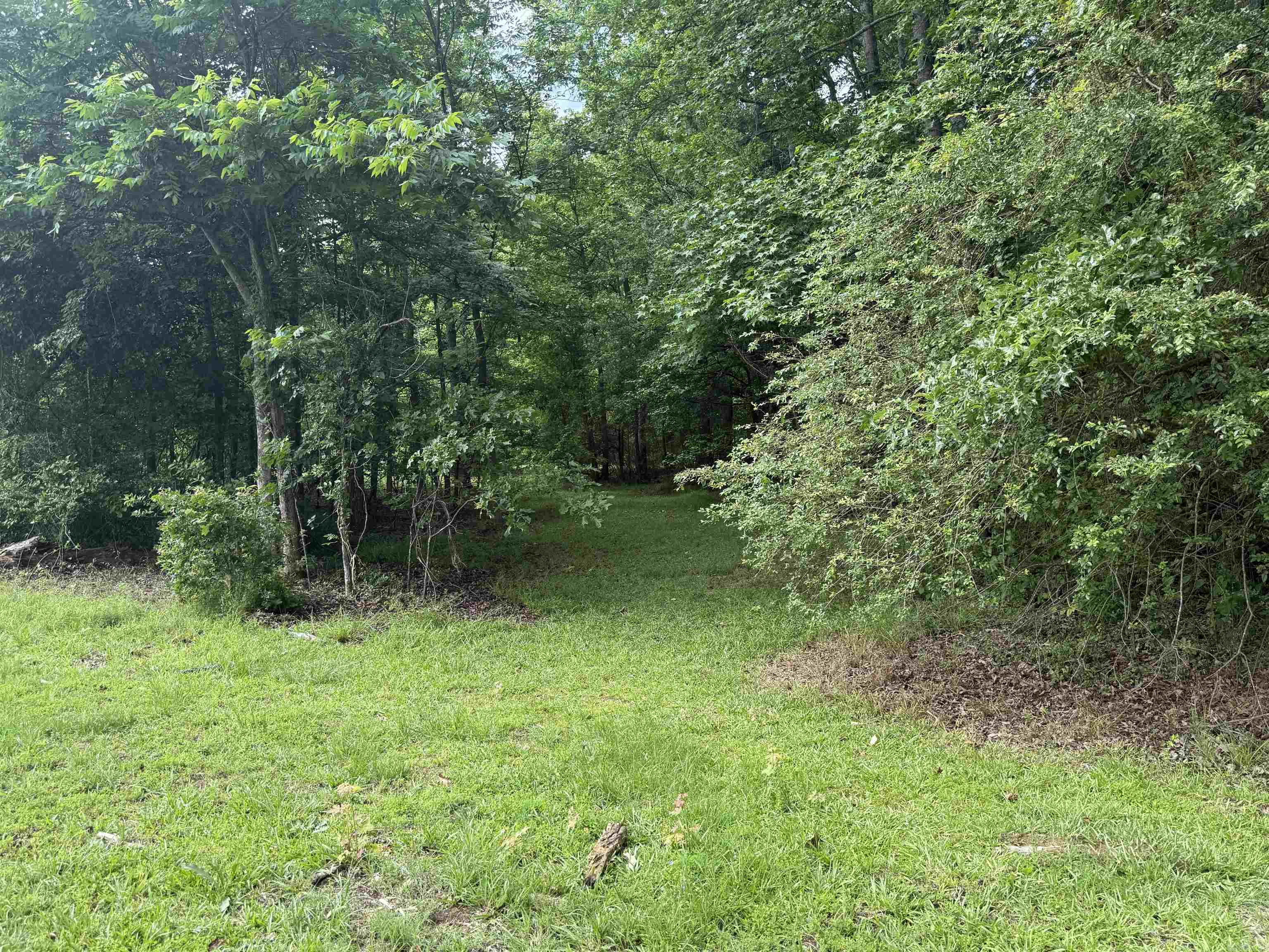 000 Woodlawn Road Property Photo 4