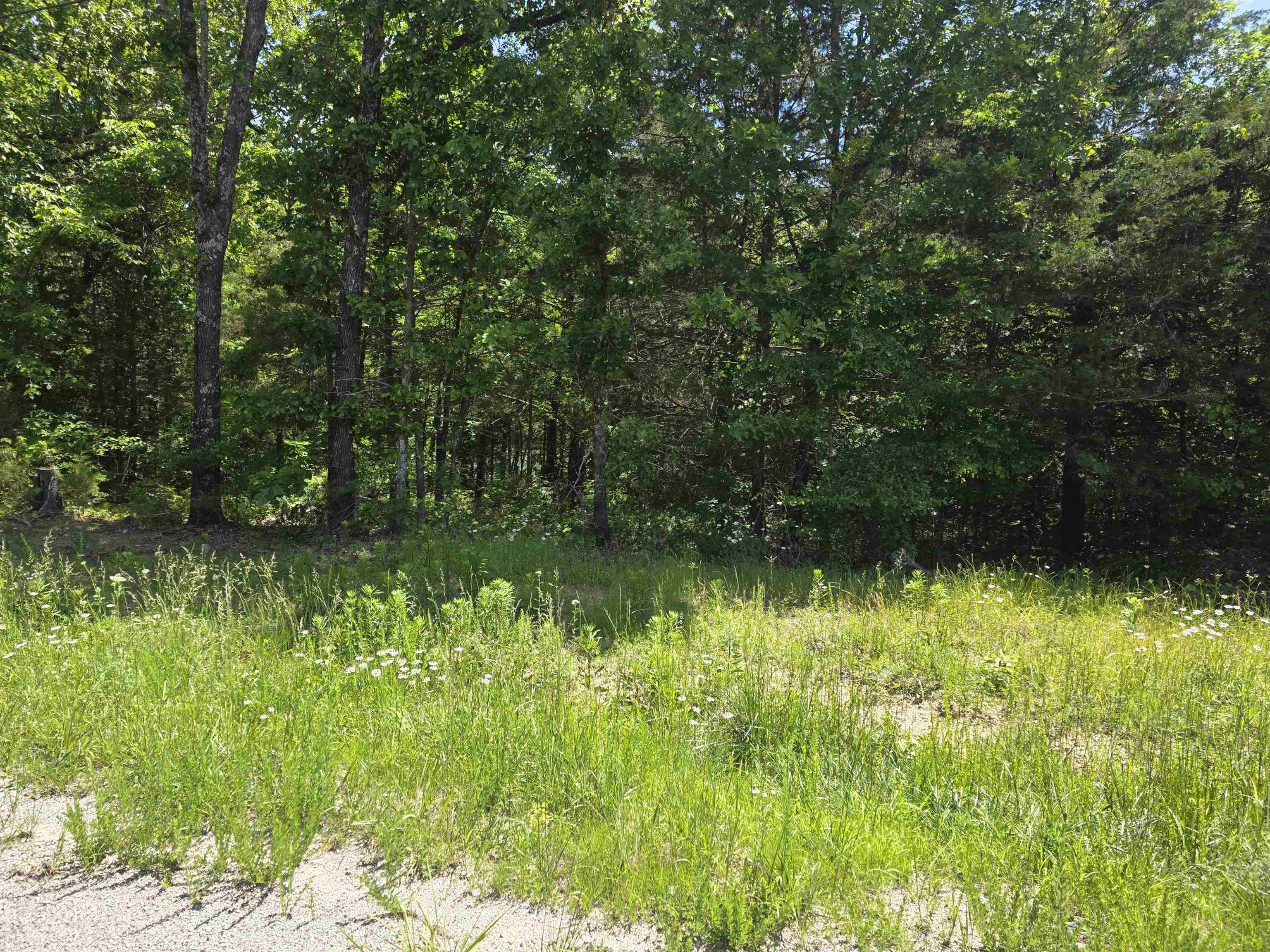 L-11, B-9 N Lake Drive Property Photo 6