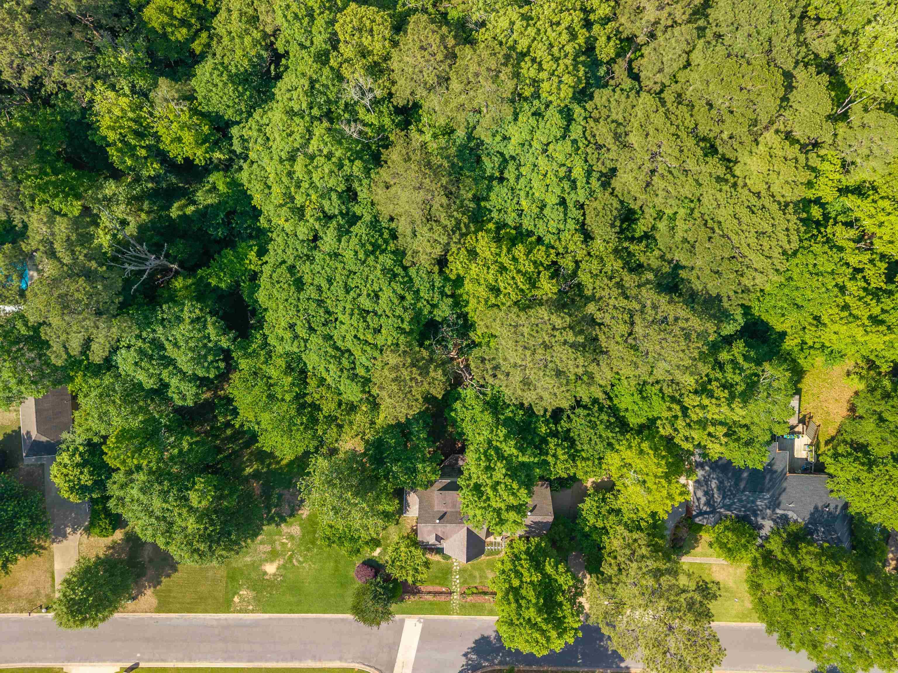 7 Timber Ridge Circle Property Photo 42
