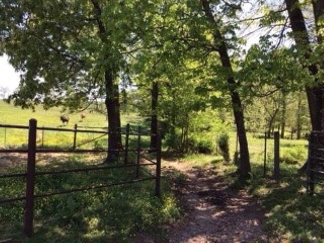 1396 Sunrise Rd Property Photo 22