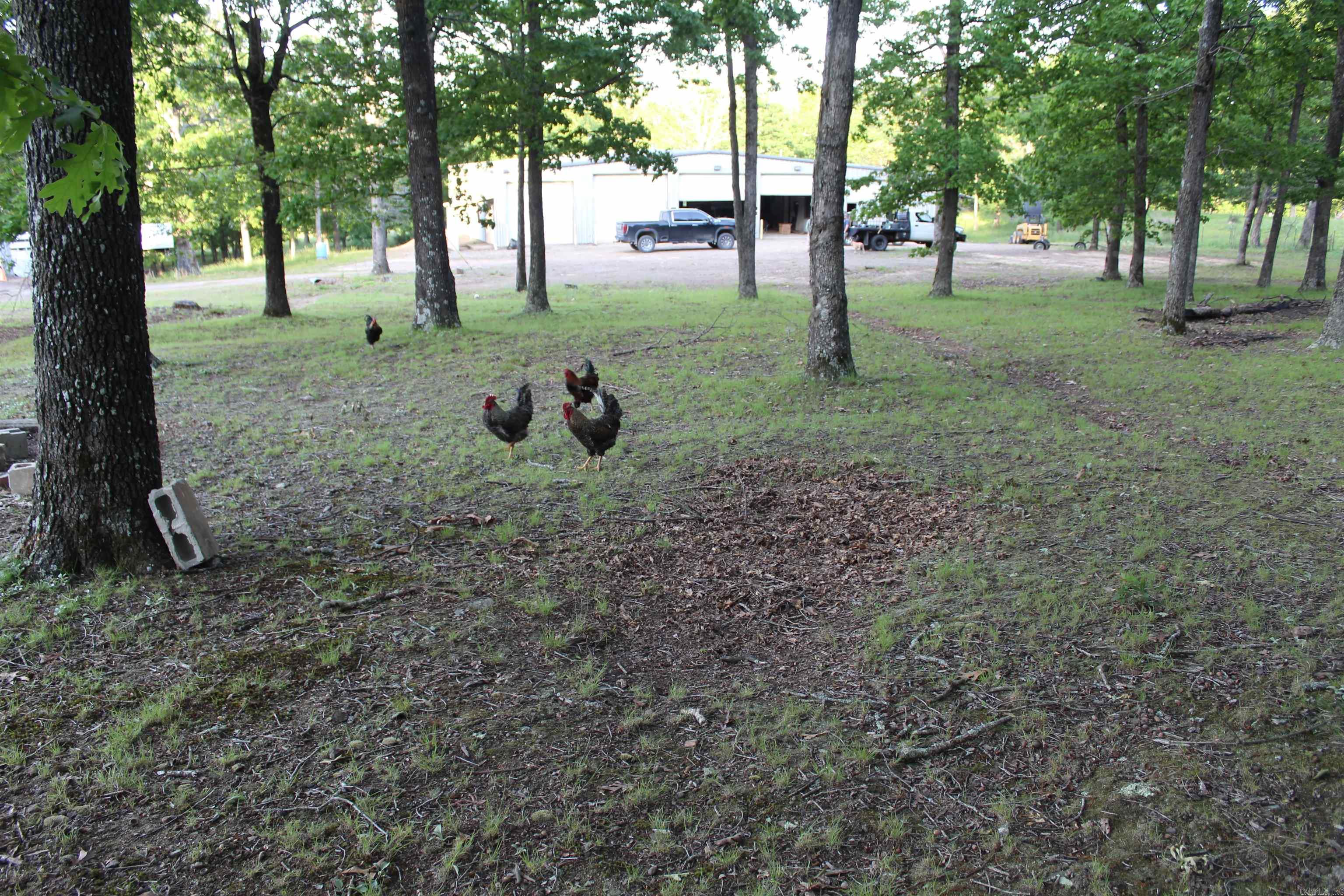 158 Ragon Road Property Photo 43