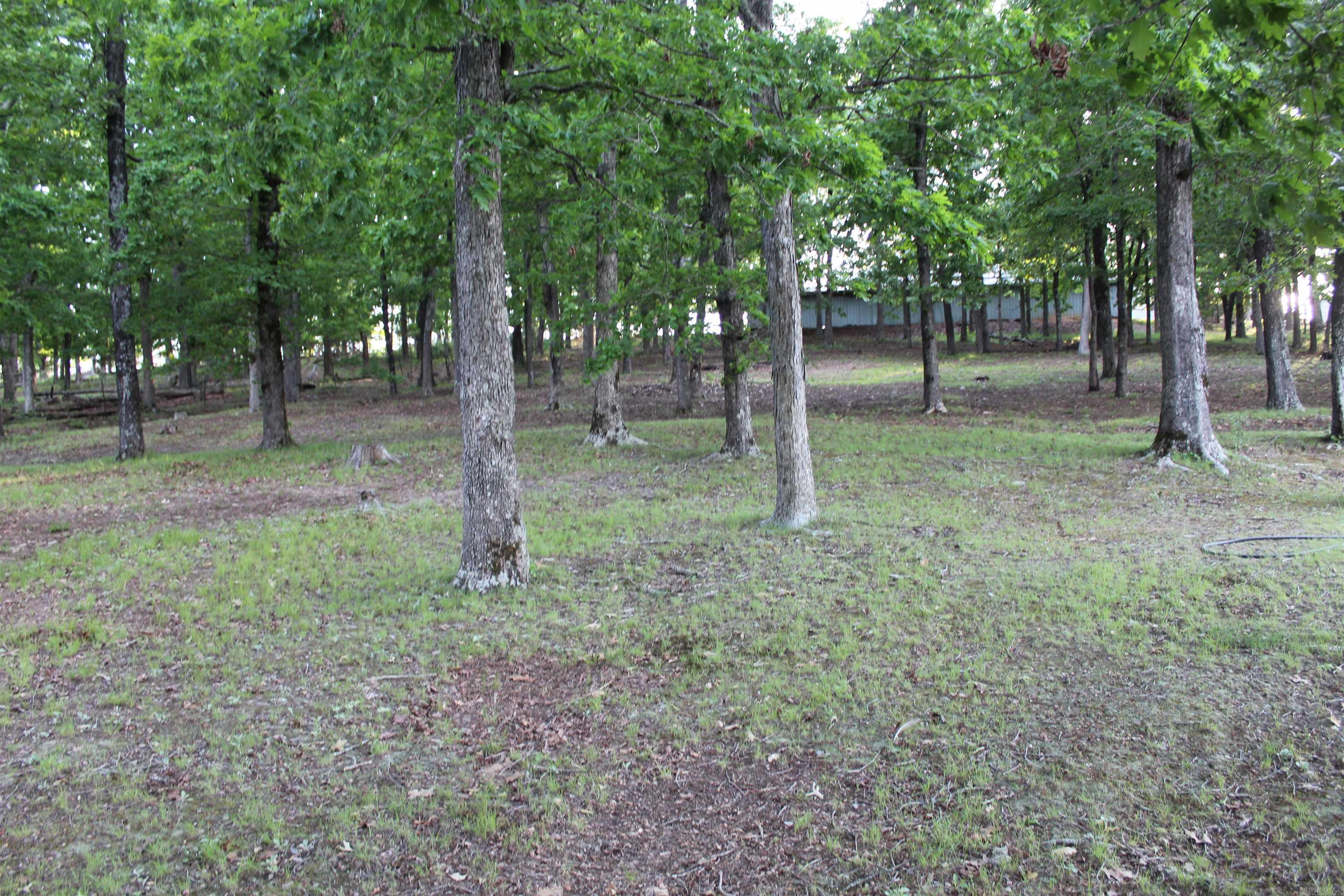 158 Ragon Road Property Photo 50