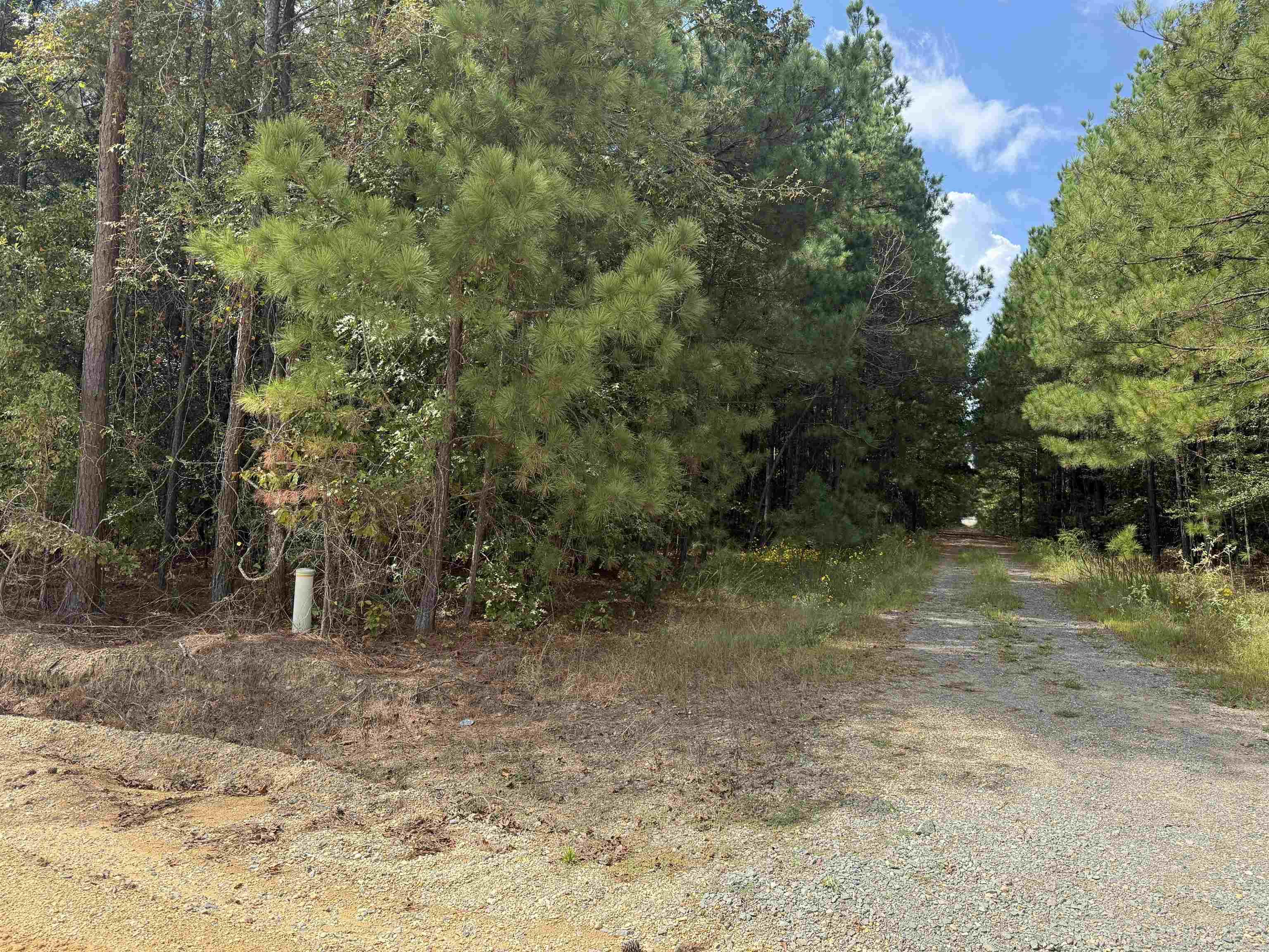 286 Bradley 68 Road Property Photo 2