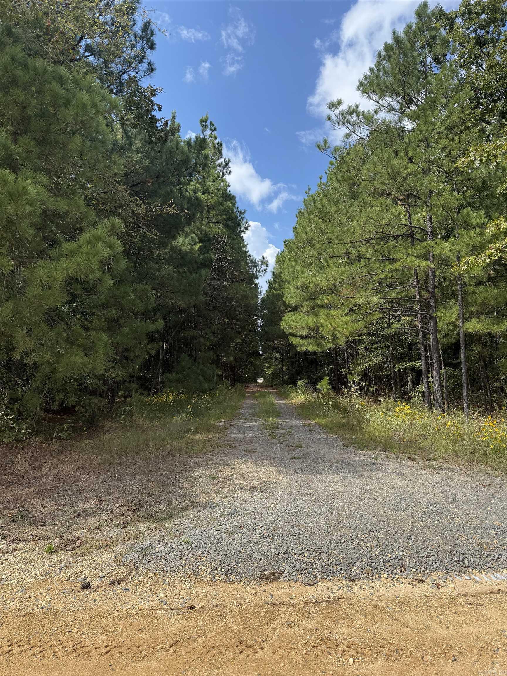 286 Bradley 68 Road Property Photo 3