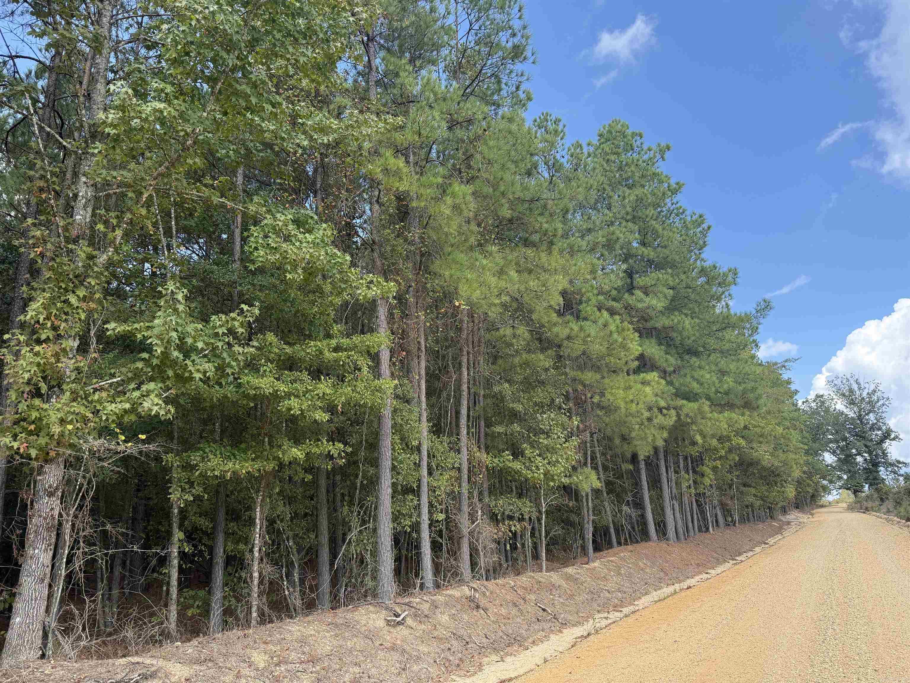 286 Bradley 68 Road Property Photo 4