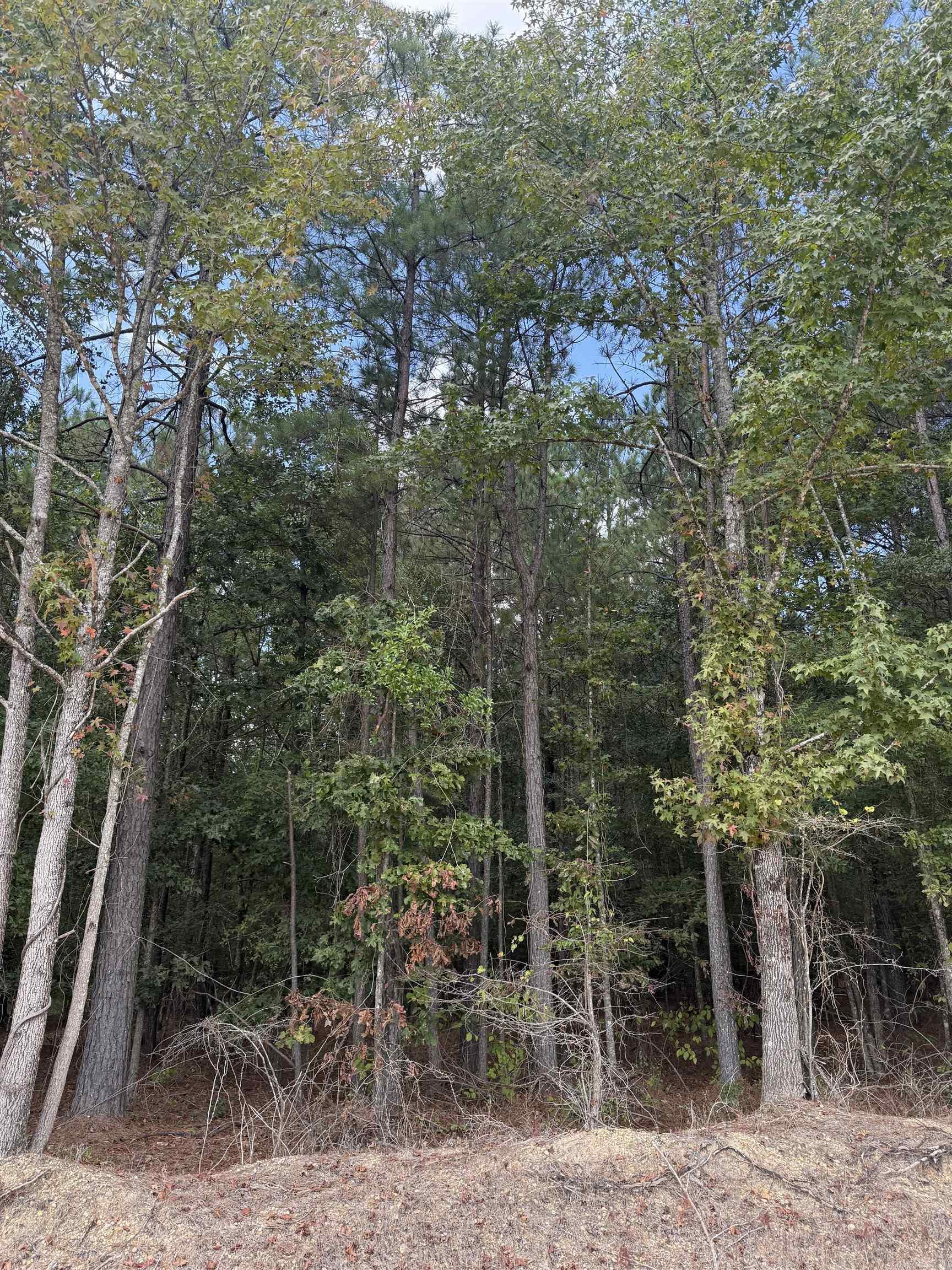 286 Bradley 68 Road Property Photo 5