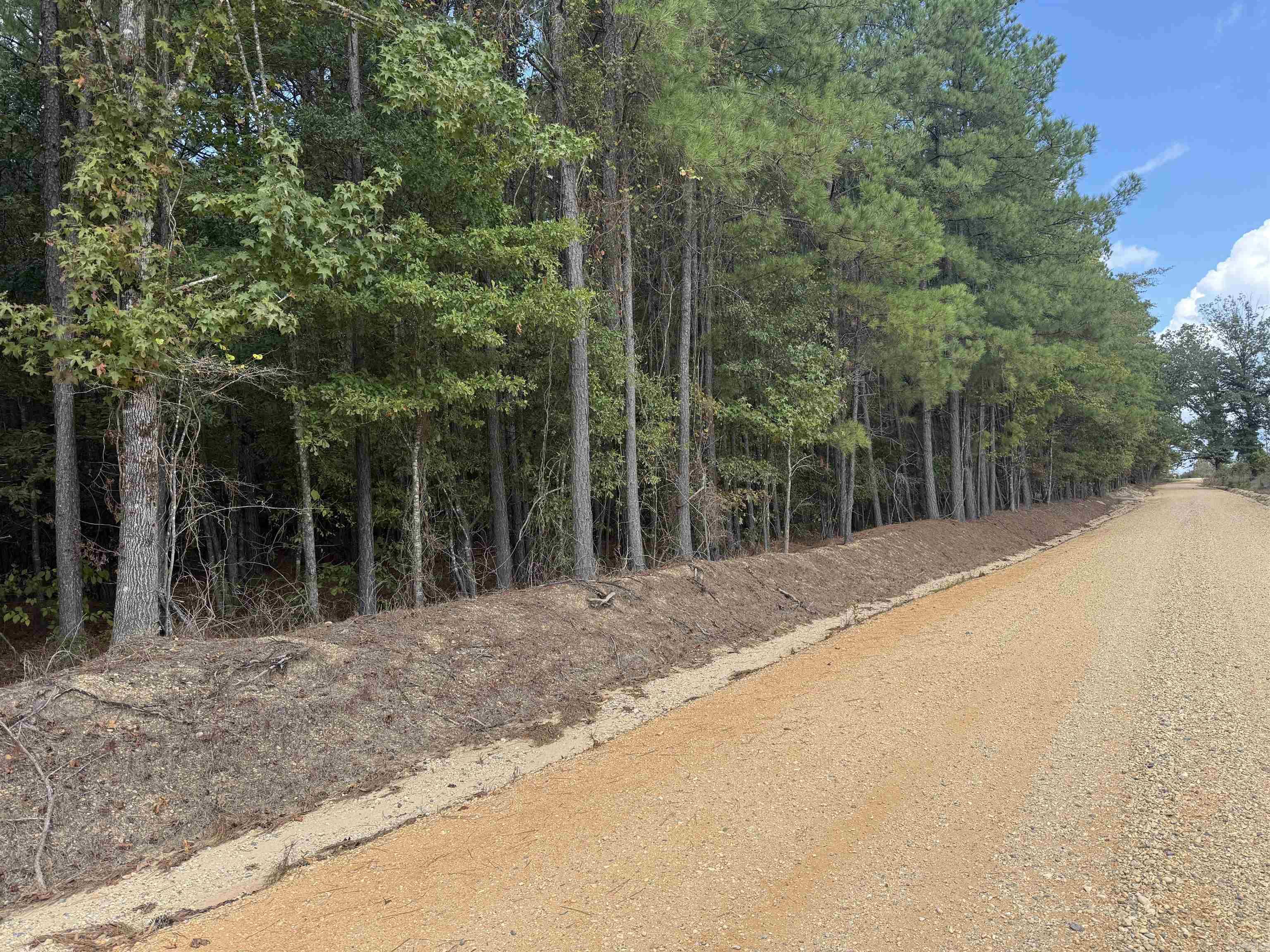 286 Bradley 68 Road Property Photo 6
