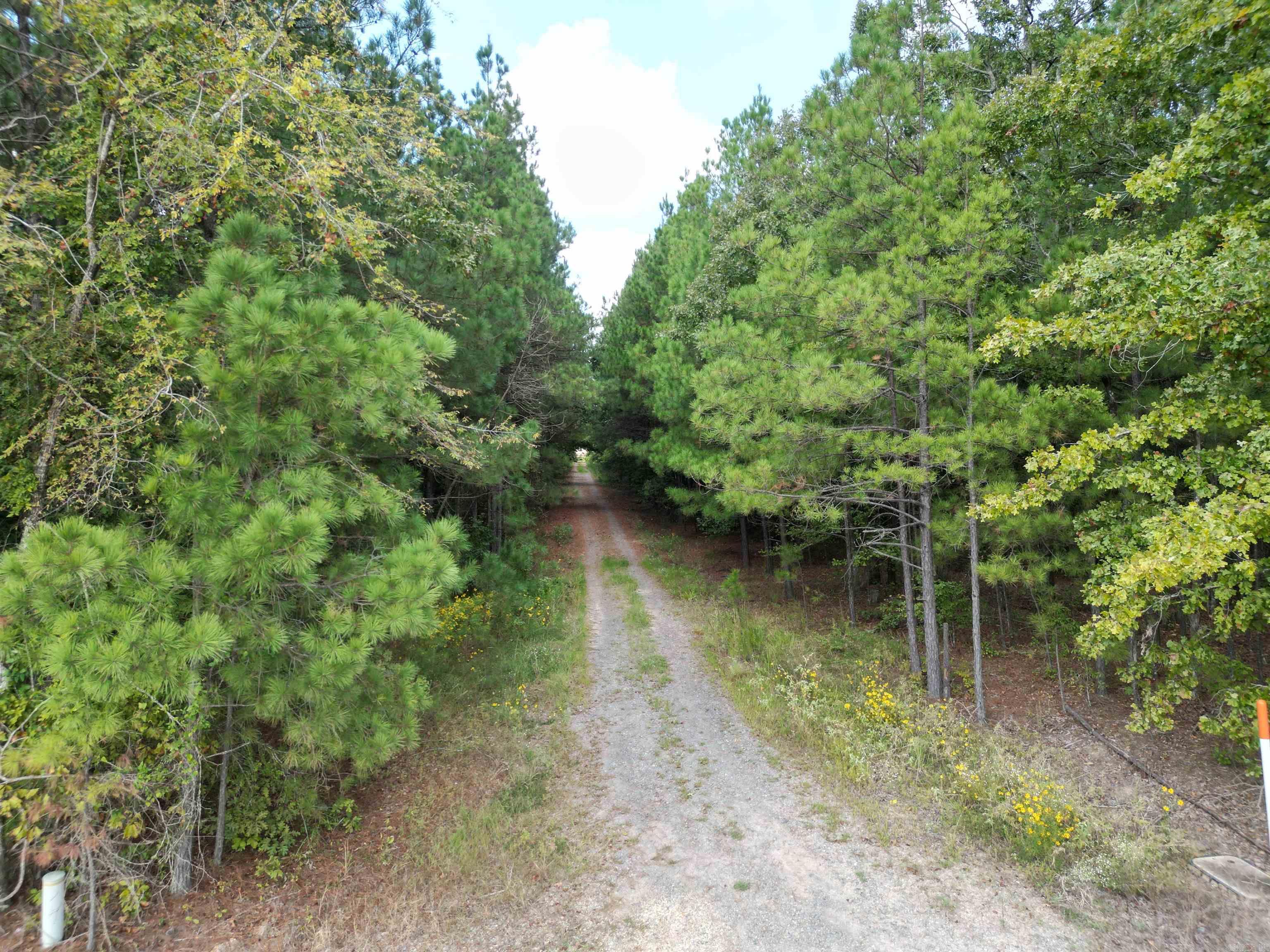 286 Bradley 68 Road Property Photo 14