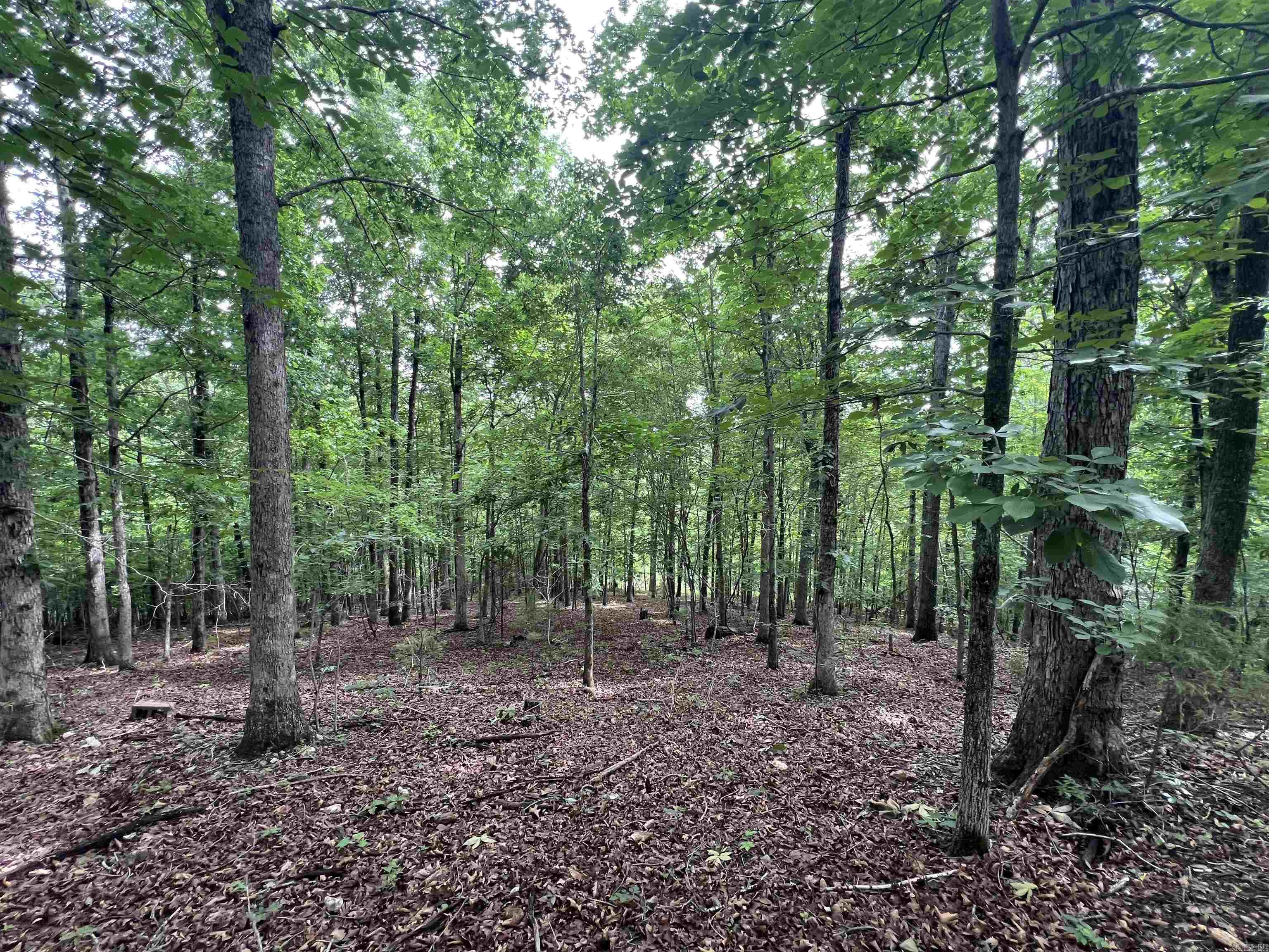 2661 Red Bluff Rd. Property Photo 2