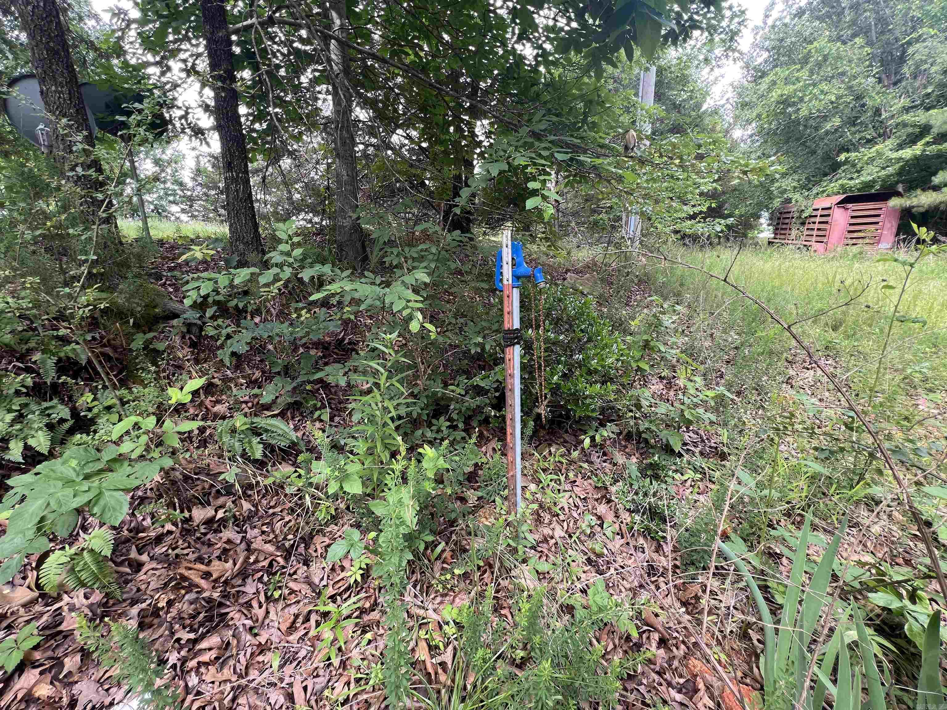 2661 Red Bluff Rd. Property Photo 4