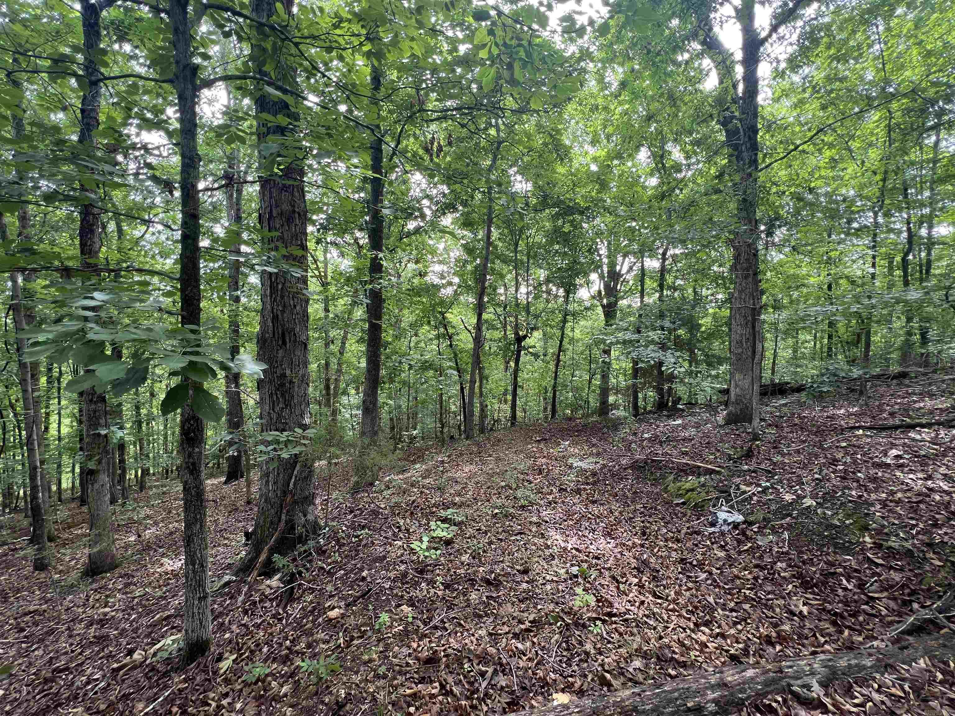 2661 Red Bluff Rd. Property Photo 5
