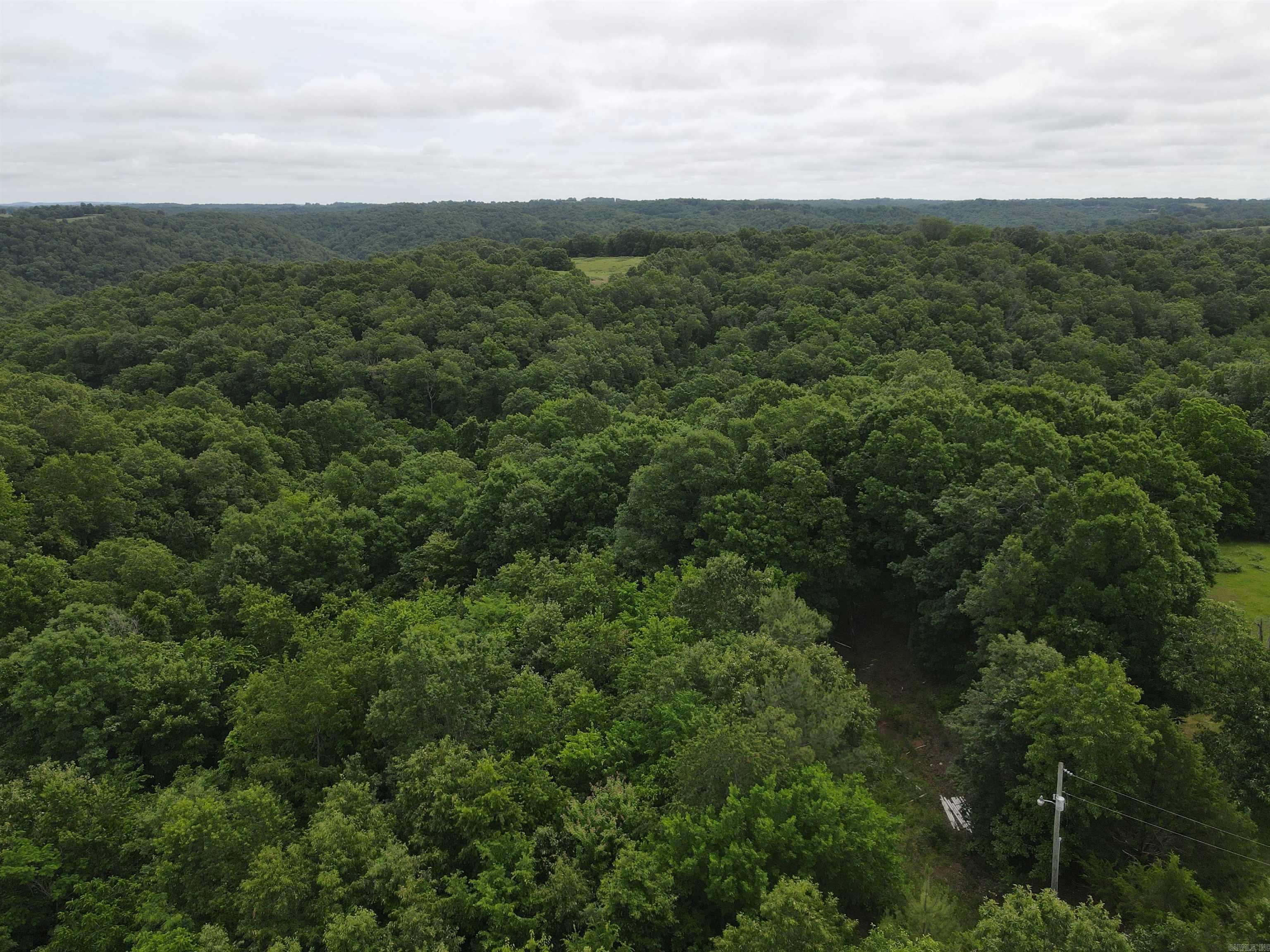 2661 Red Bluff Rd. Property Photo 14
