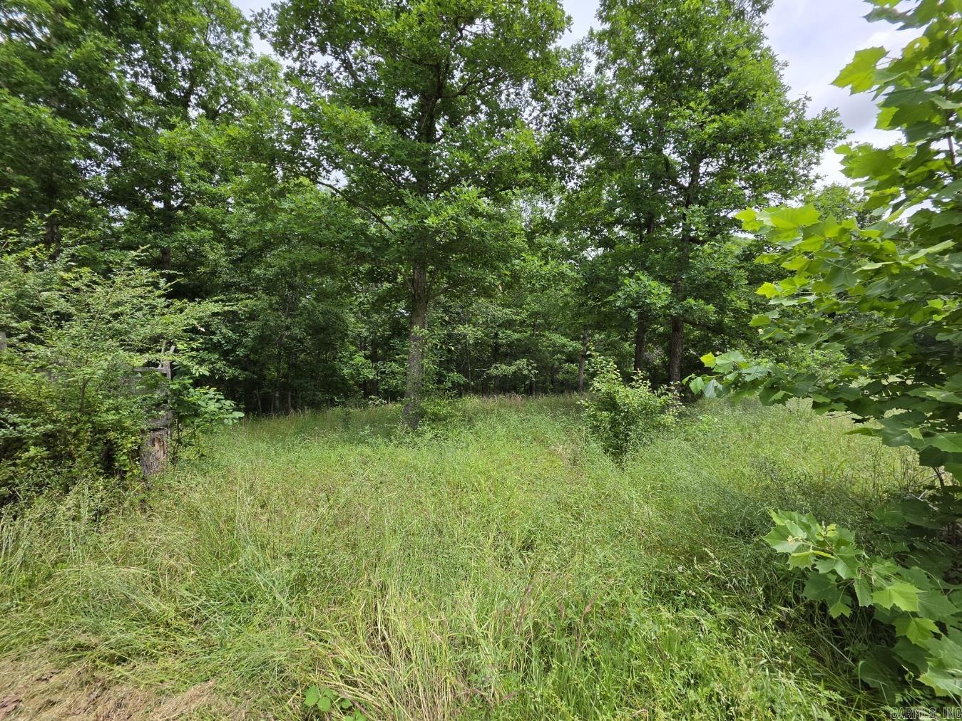 295 Black Oak Road Property Photo 2