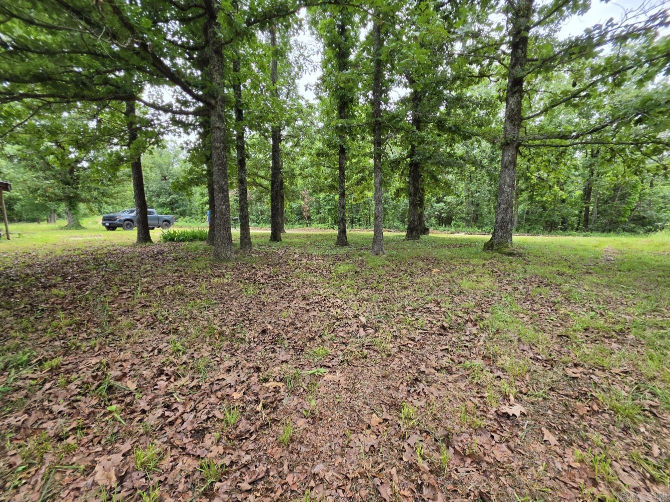 295 Black Oak Road Property Photo 6