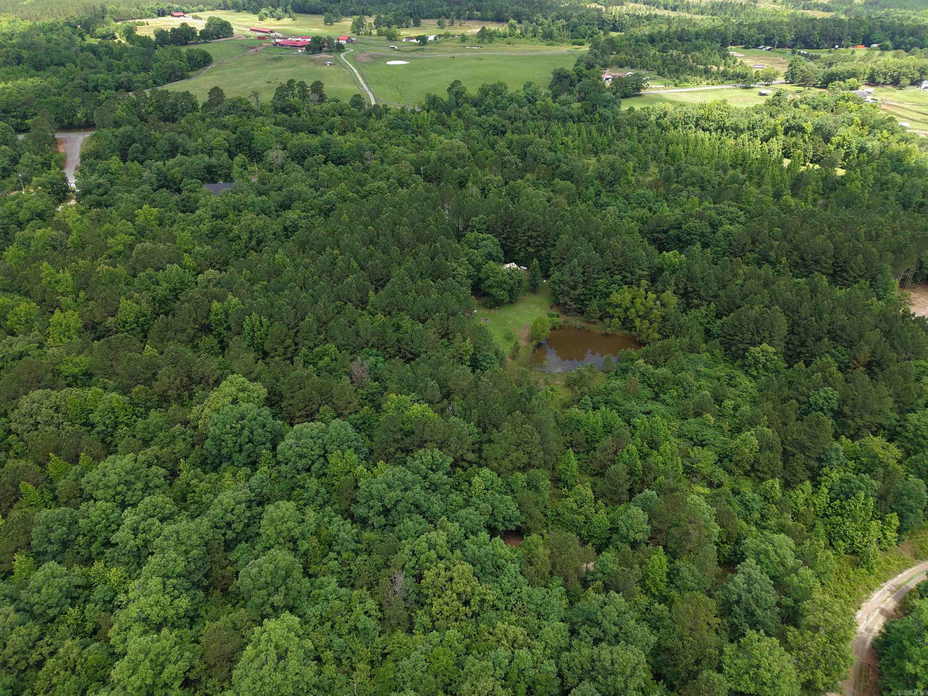 196 Peaceful Hills Rd Property Photo 36