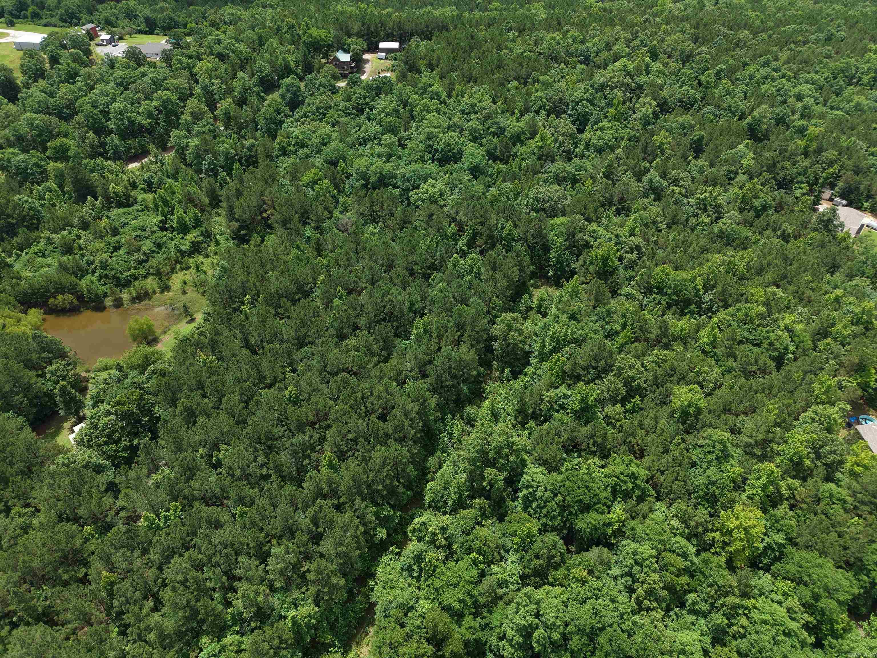 196 Peaceful Hills Rd Property Photo 38
