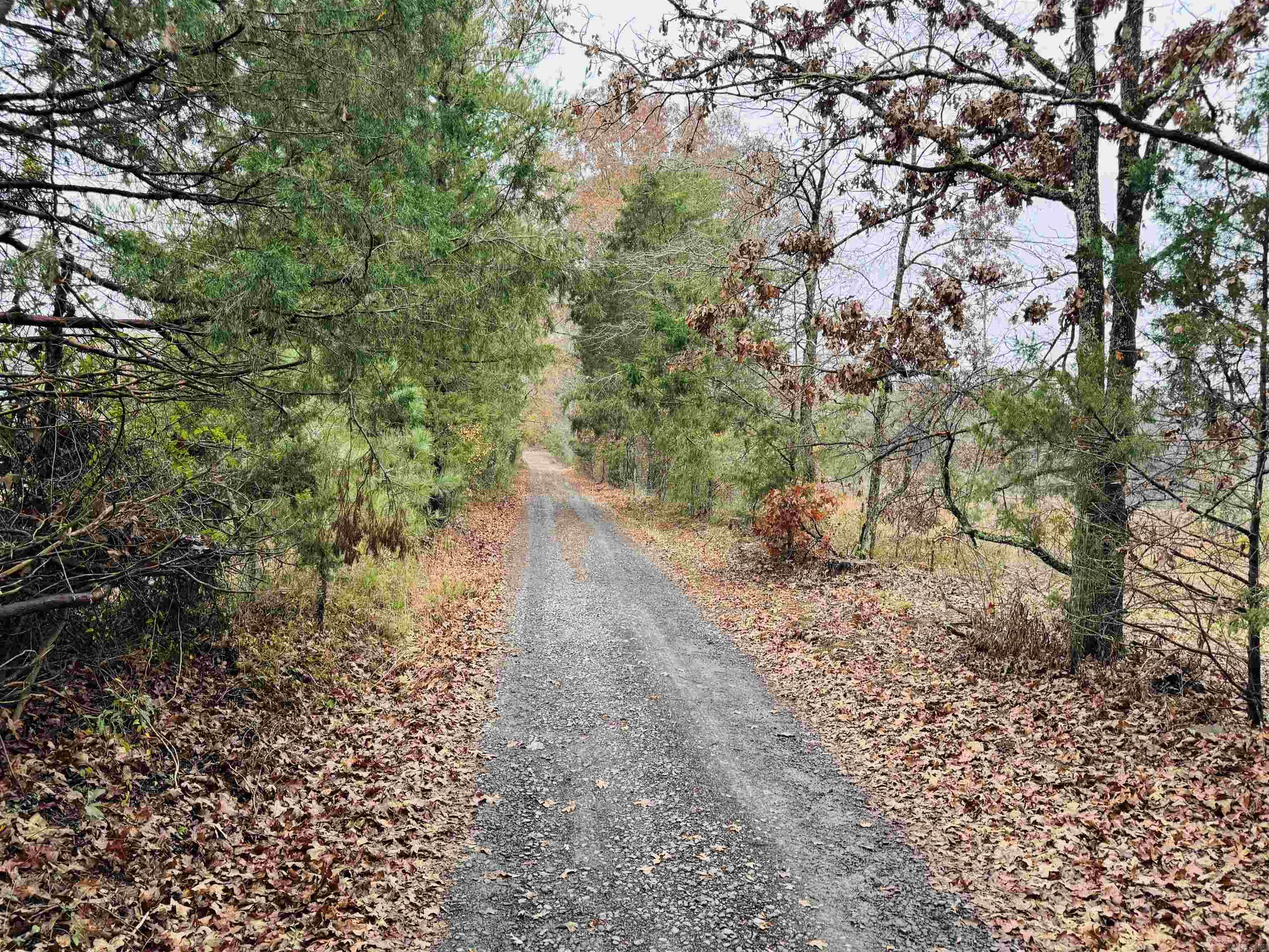 0 Faulkner Gap Road Property Photo 3