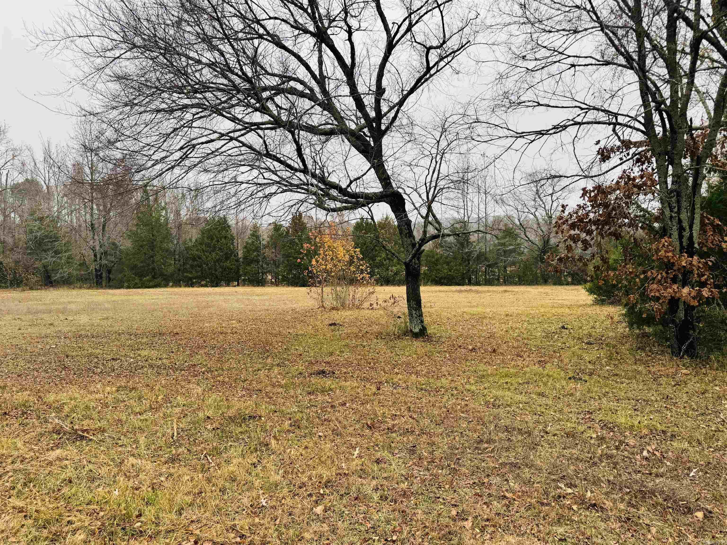 0 Faulkner Gap Road Property Photo 4