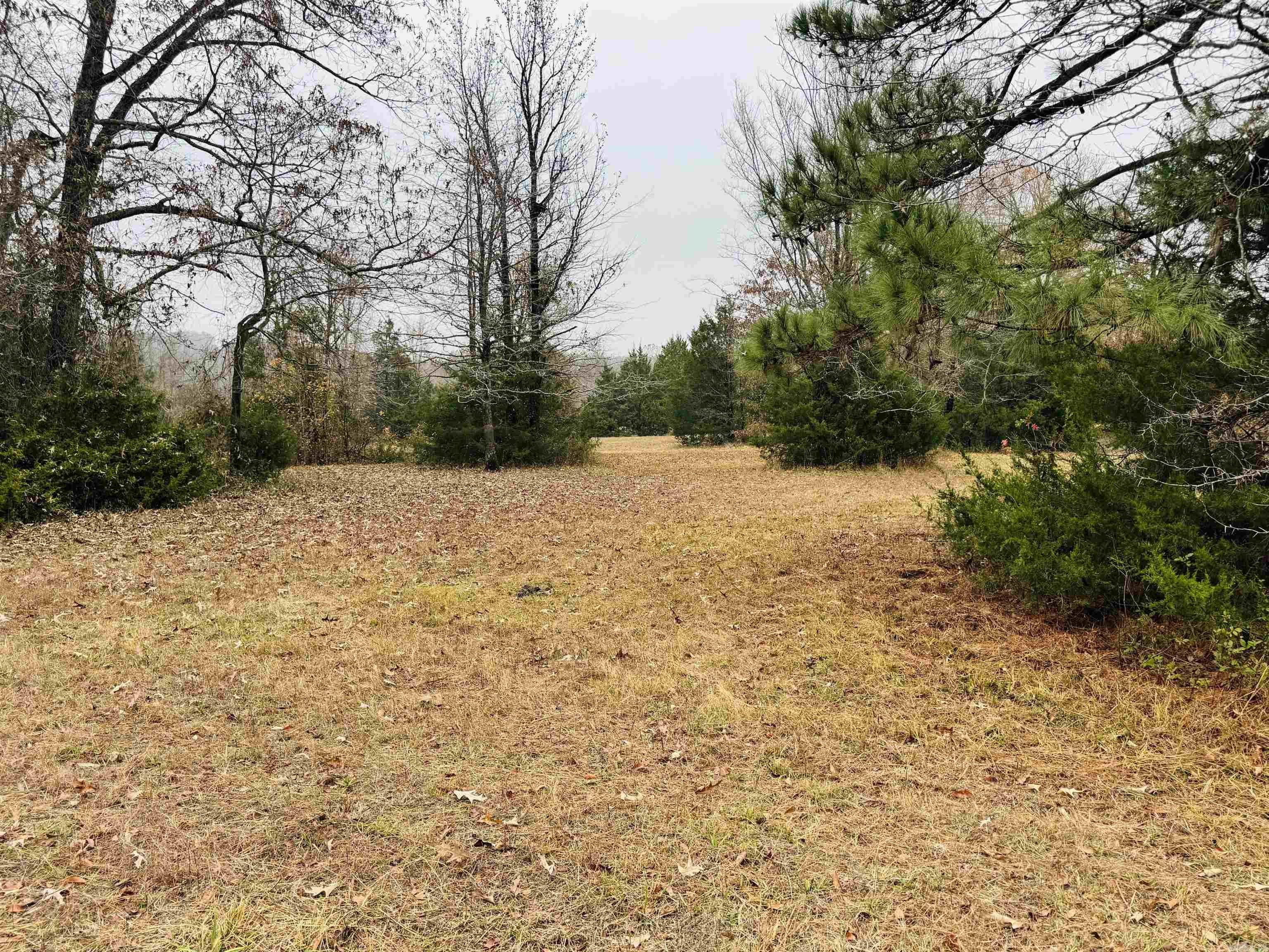 0 Faulkner Gap Road Property Photo 7