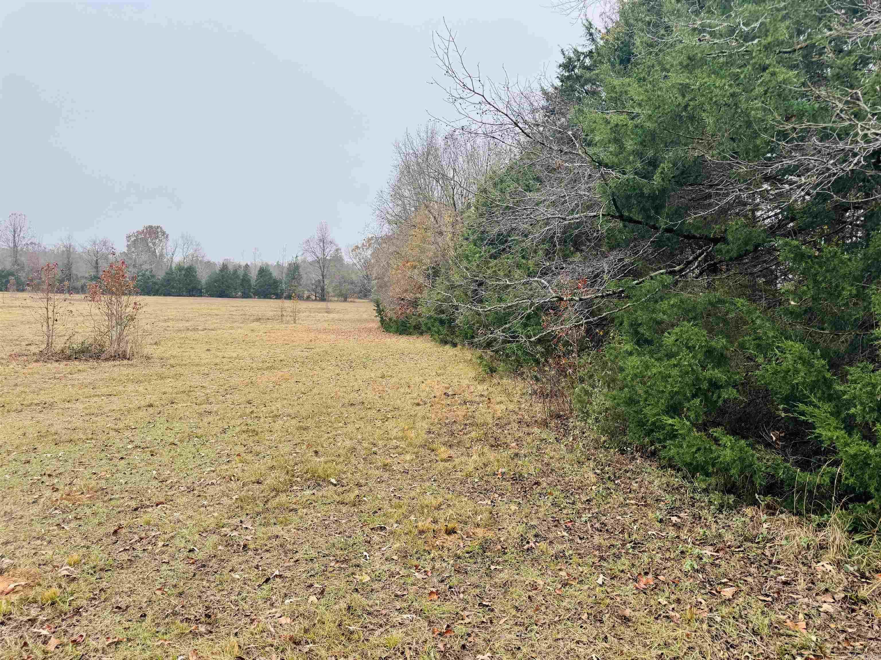 0 Faulkner Gap Road Property Photo 9