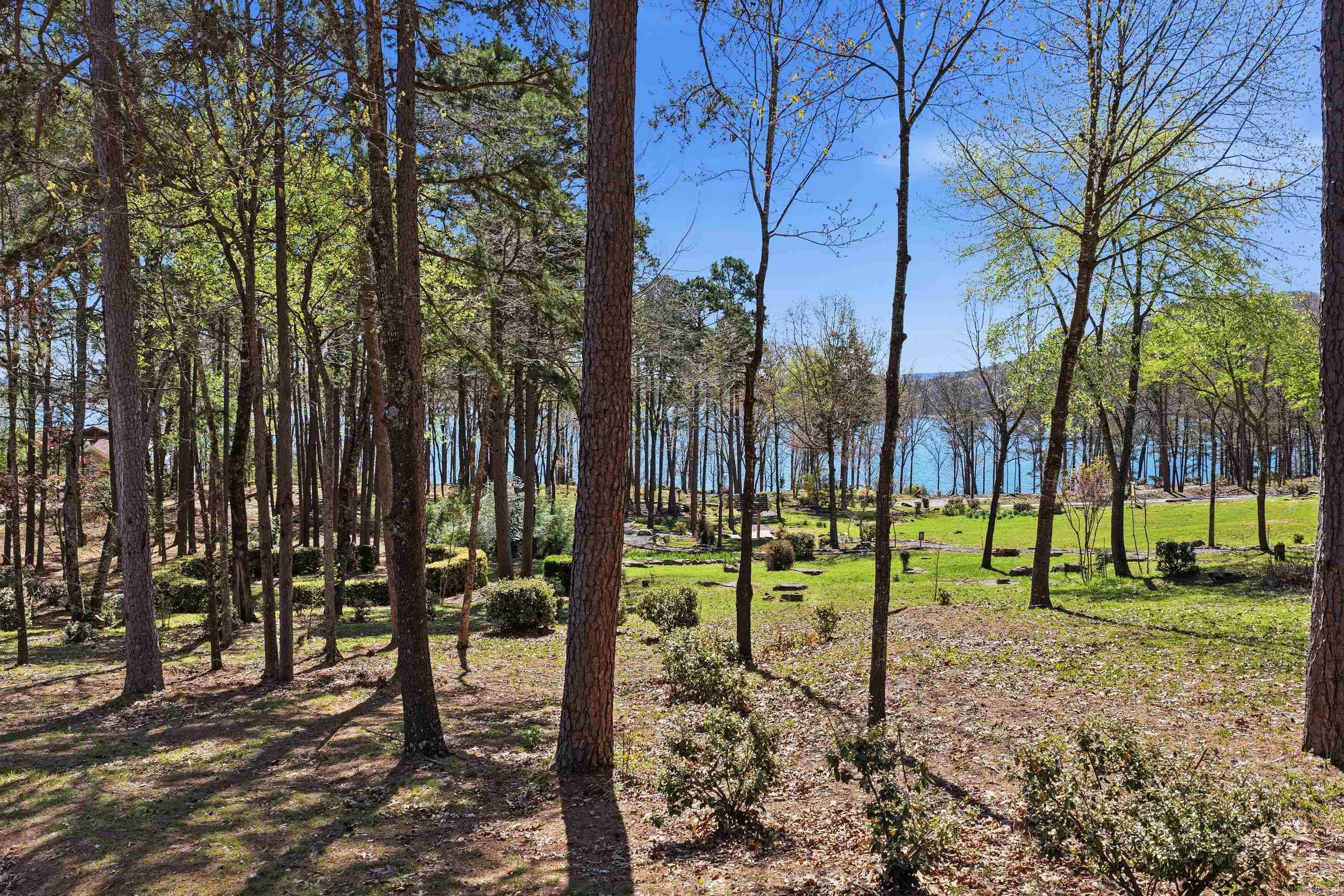 1155 Dave Creek Tract 5 Property Photo 4