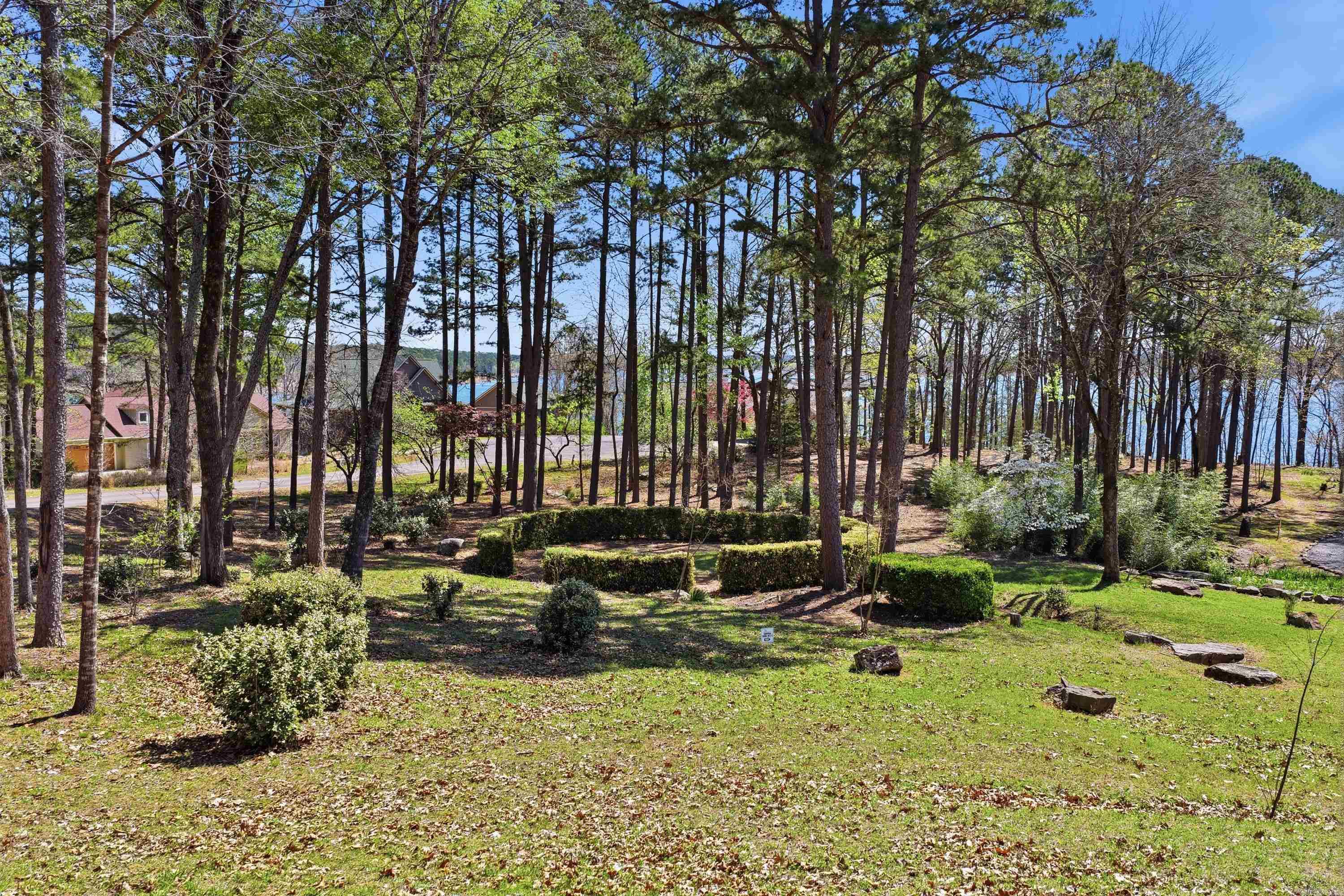 1155 Dave Creek Tract 5 Property Photo 6