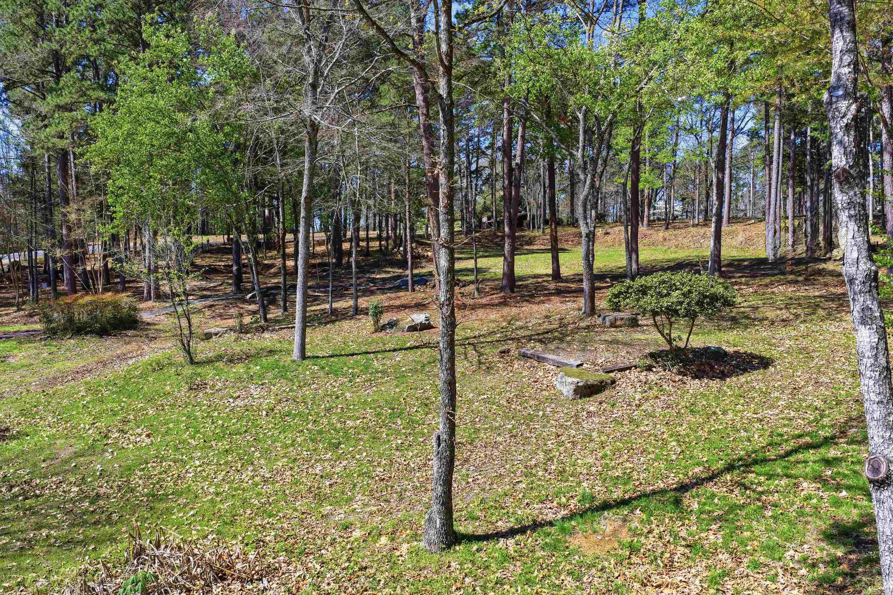 1155 Dave Creek Tract 5 Property Photo 7