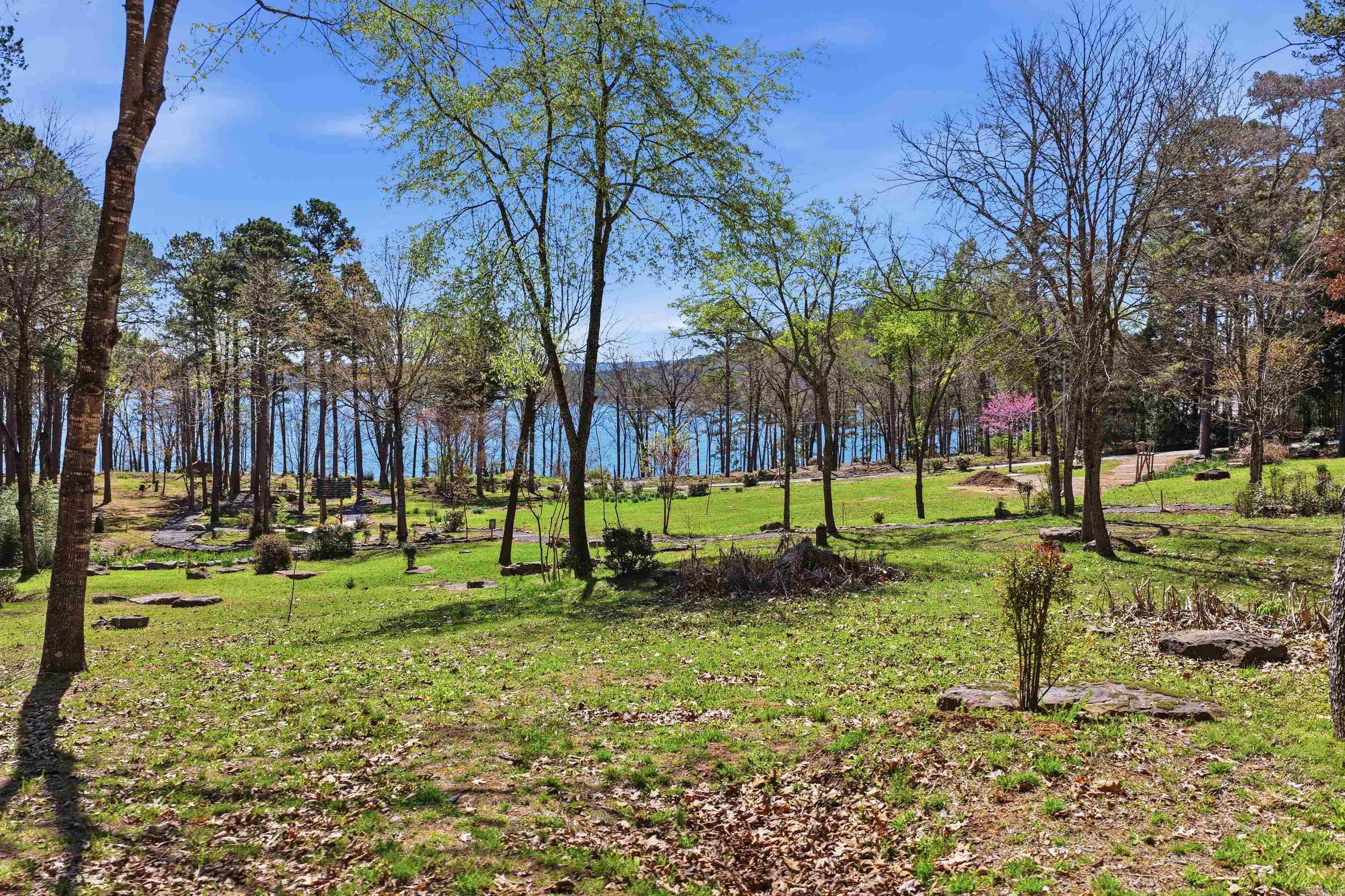 1155 Dave Creek Tract 6 Property Photo 5