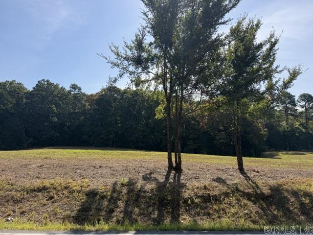 Tract 1 Sandy Ford Rd. Property Photo 1