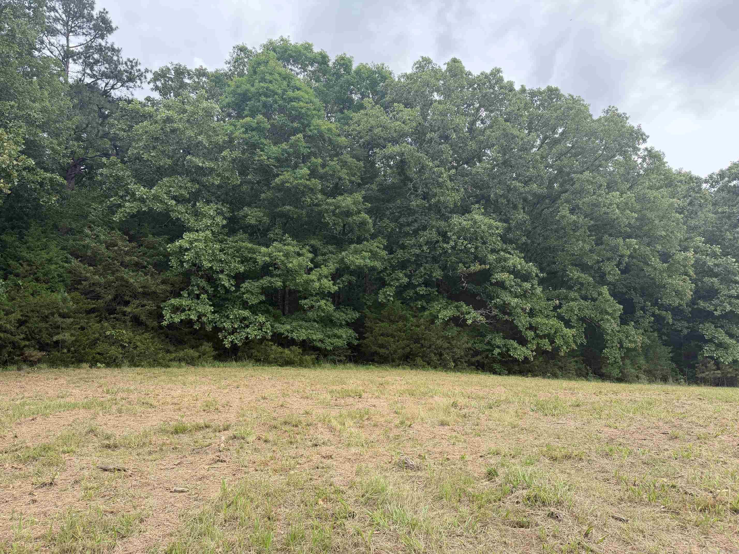 Tract 1 Sandy Ford Rd. Property Photo 3