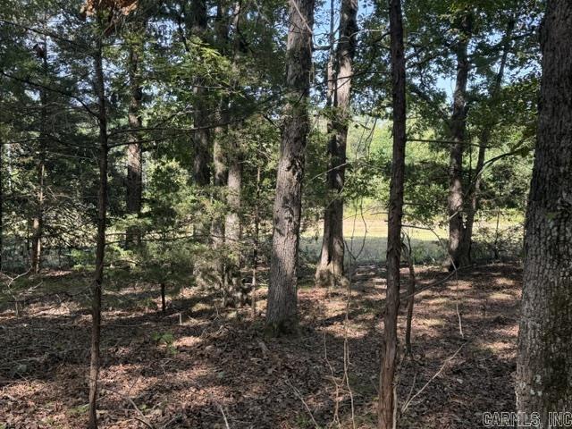 Tract 1 Sandy Ford Rd. Property Photo 7