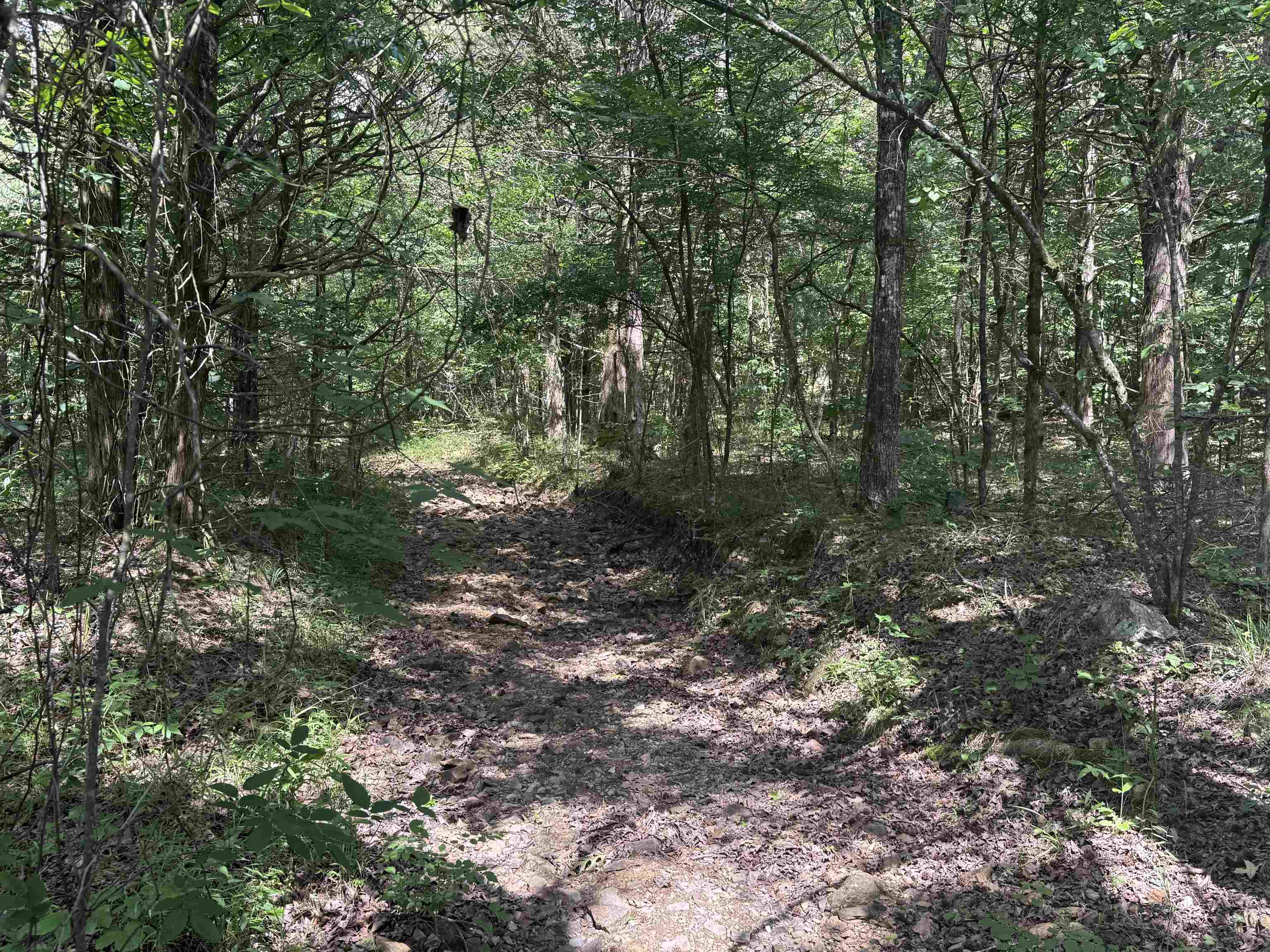 Tbd Bell Foley Road Property Photo 1