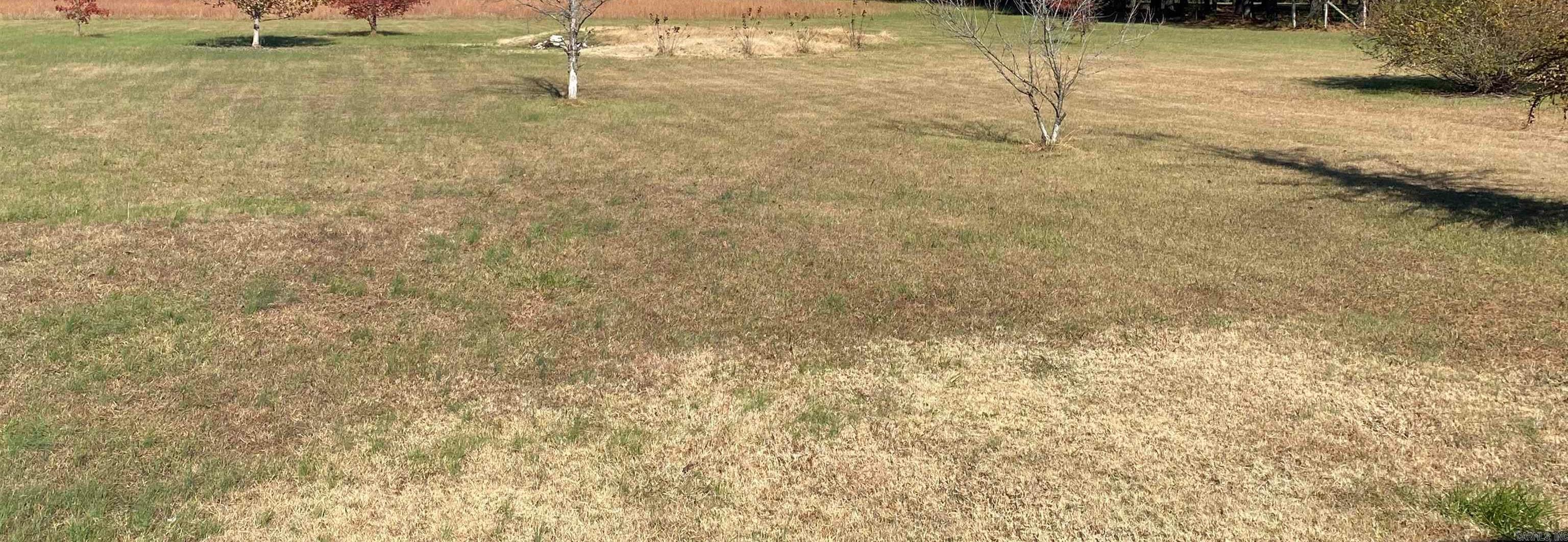 610 Protho Property Photo 4