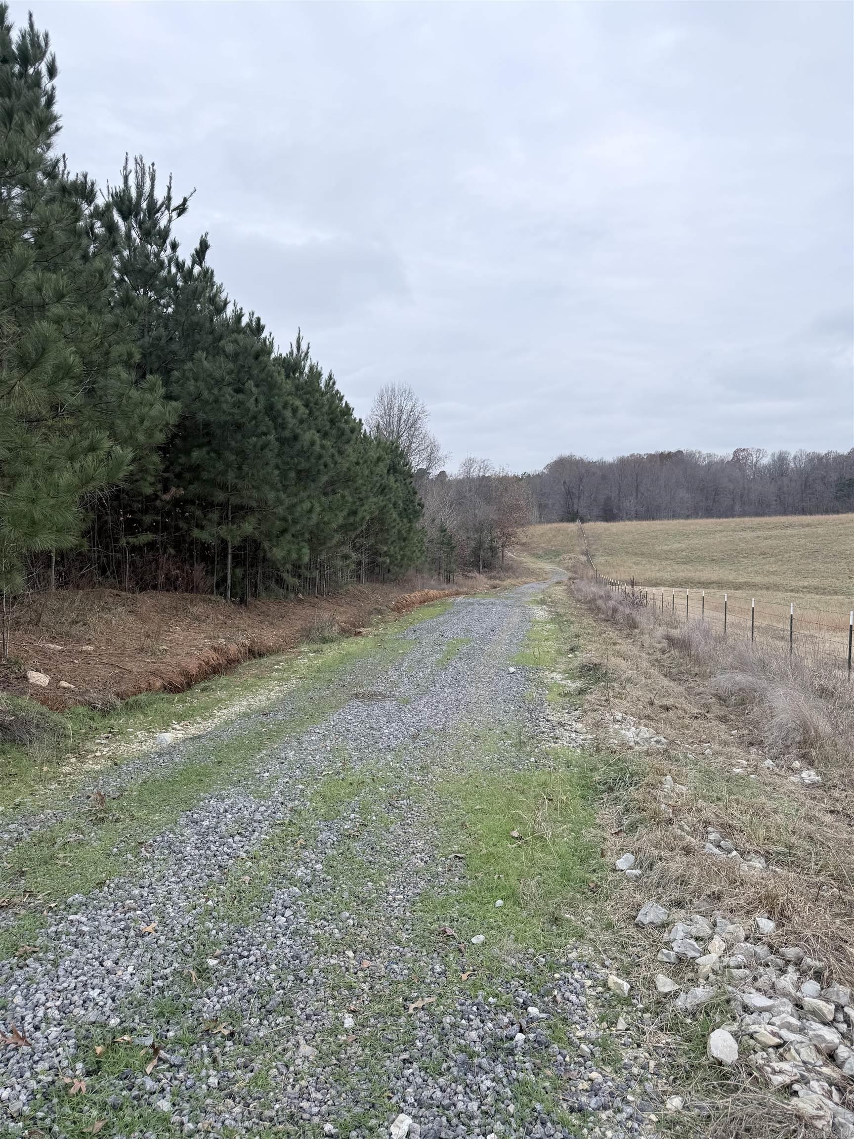 33 Acres M/l Greene 710 Property Photo 3