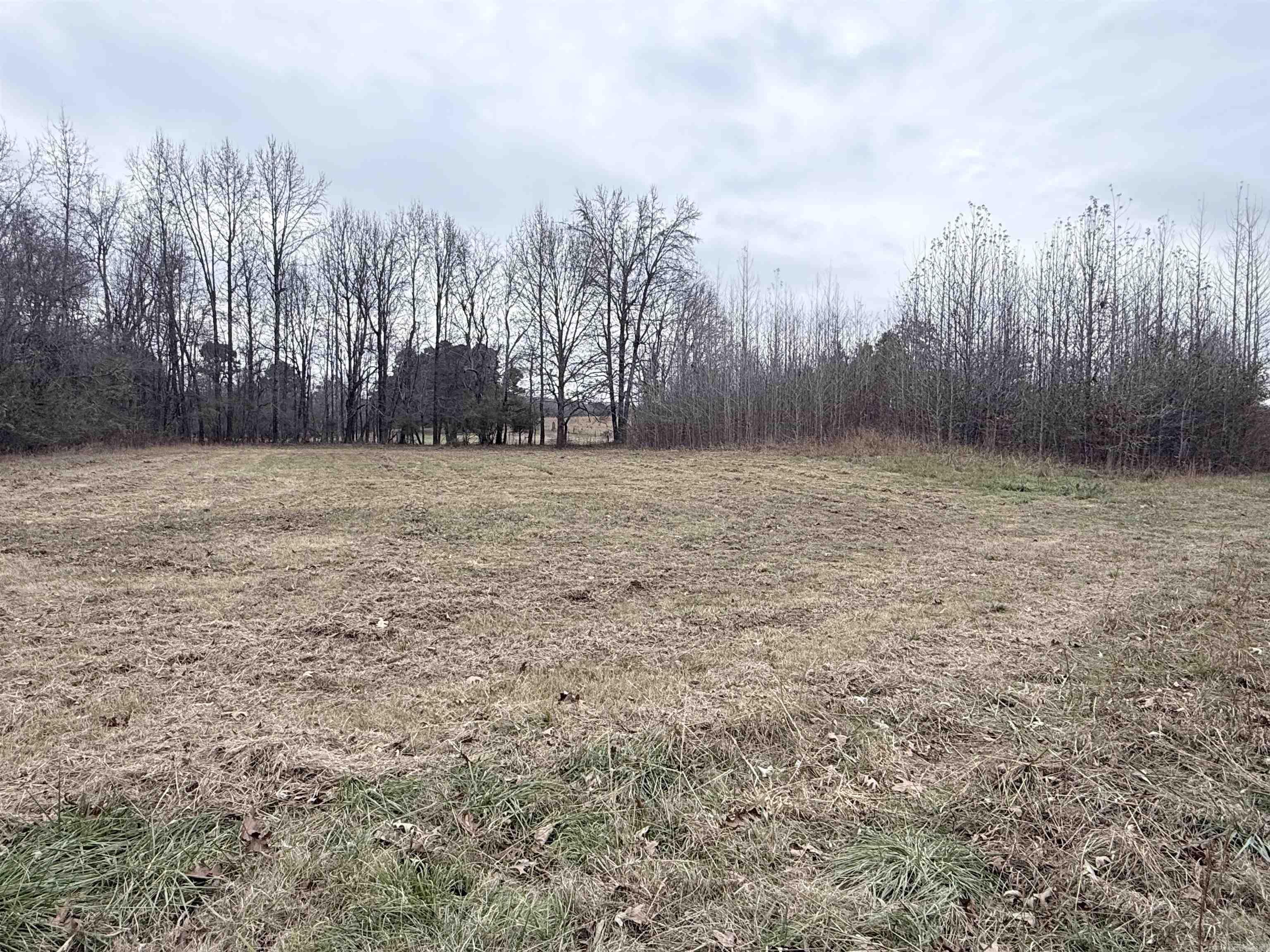 33 Acres M/l Greene 710 Property Photo 5