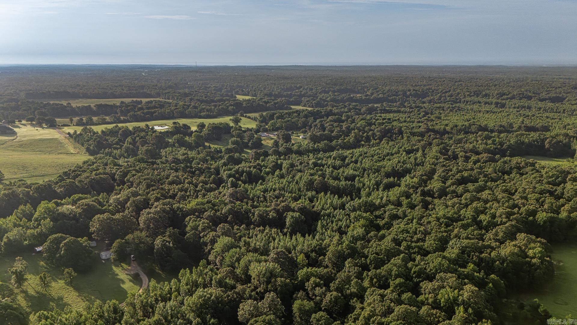 33 Acres M/l Greene 710 Property Photo 6