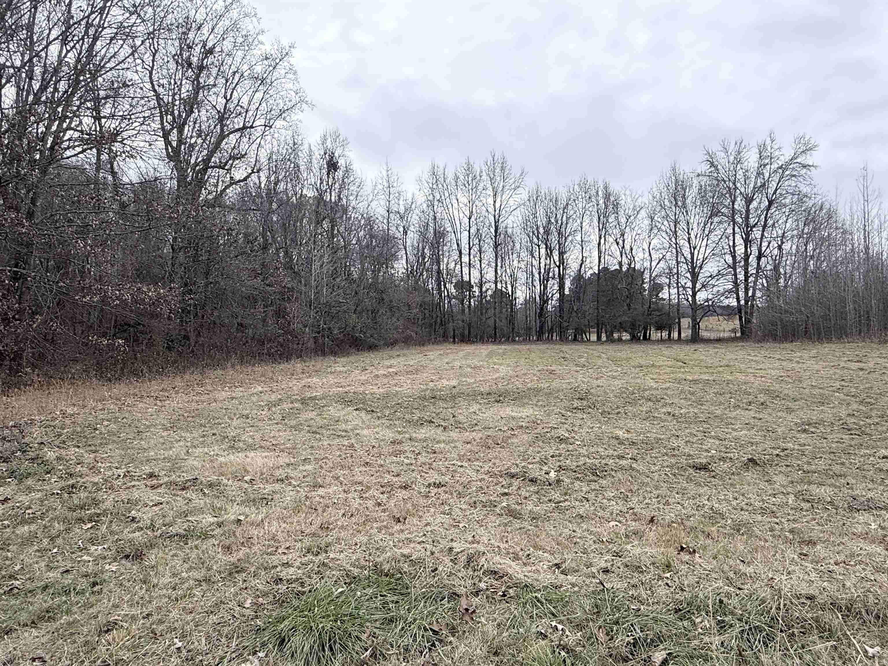 33 Acres M/l Greene 710 Property Photo 9