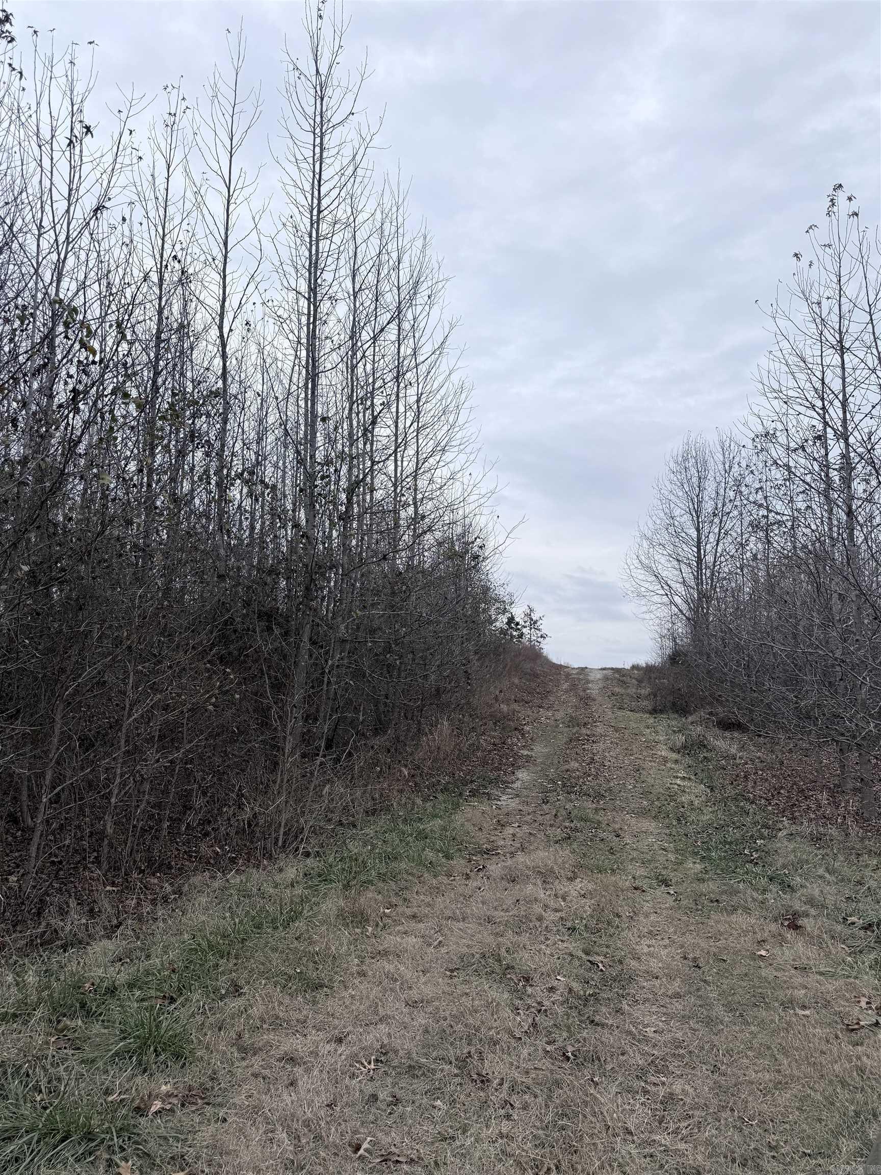 33 Acres M/l Greene 710 Property Photo 11