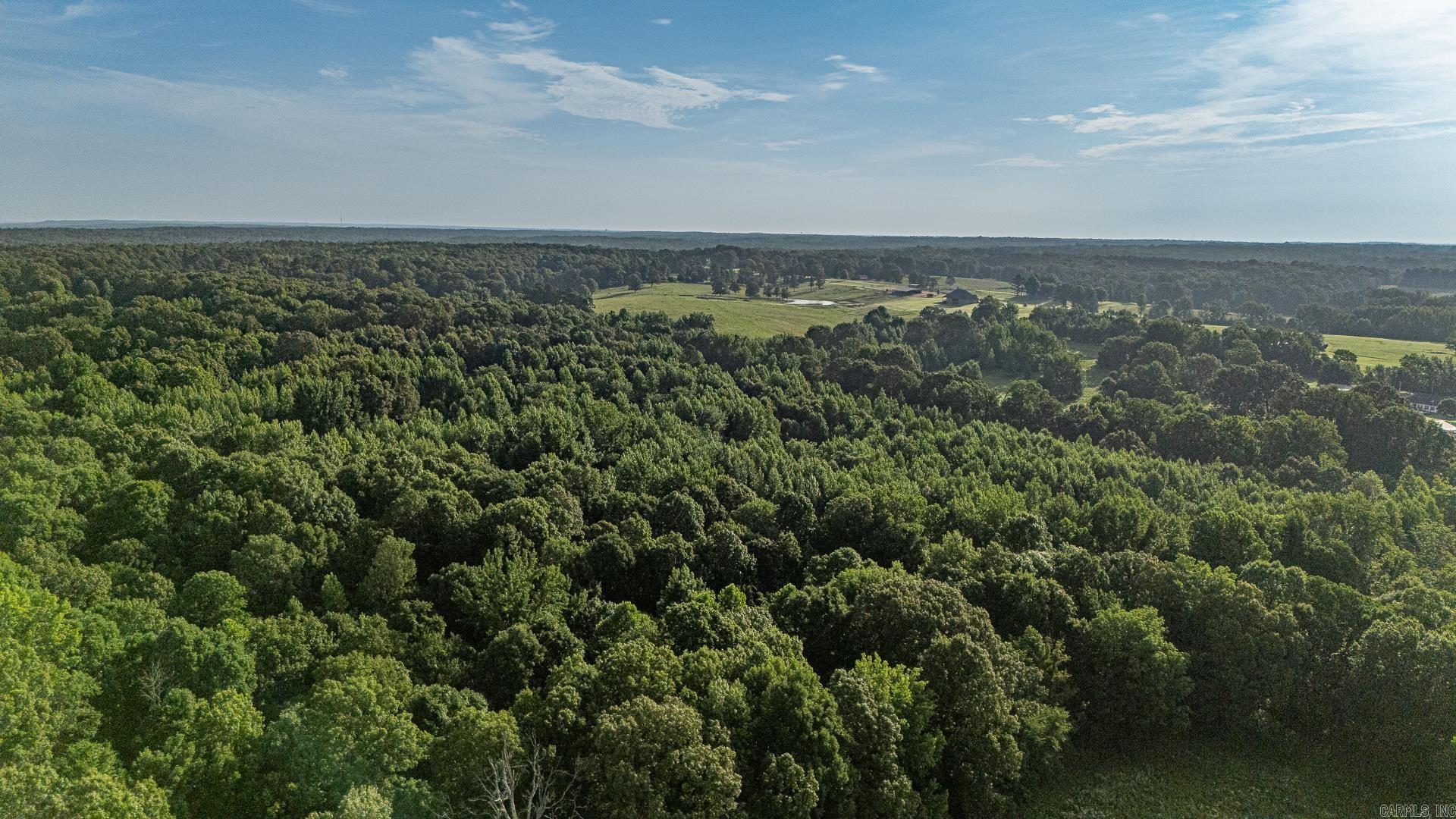 33 Acres M/l Greene 710 Property Photo 13