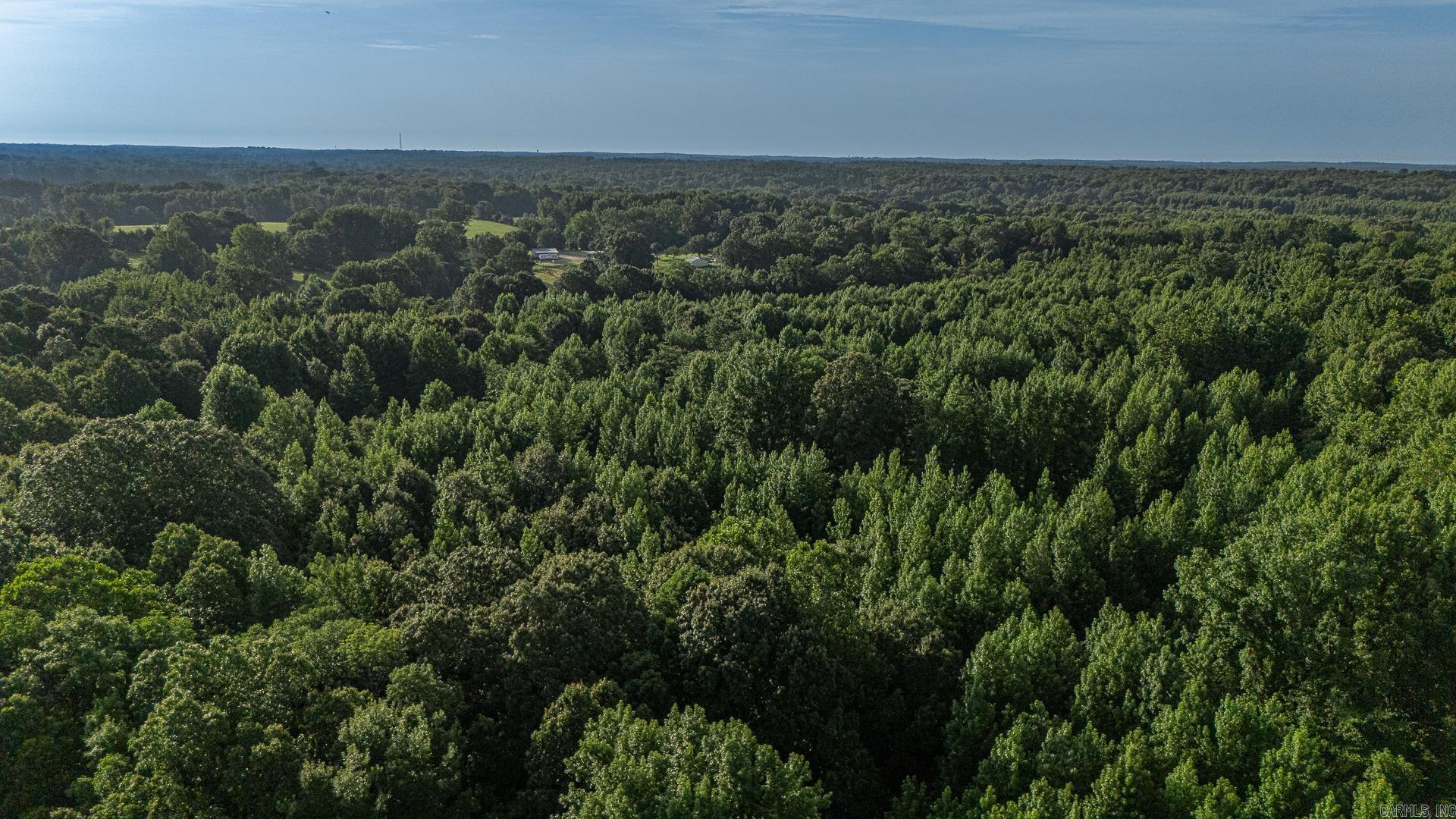 33 Acres M/l Greene 710 Property Photo 15