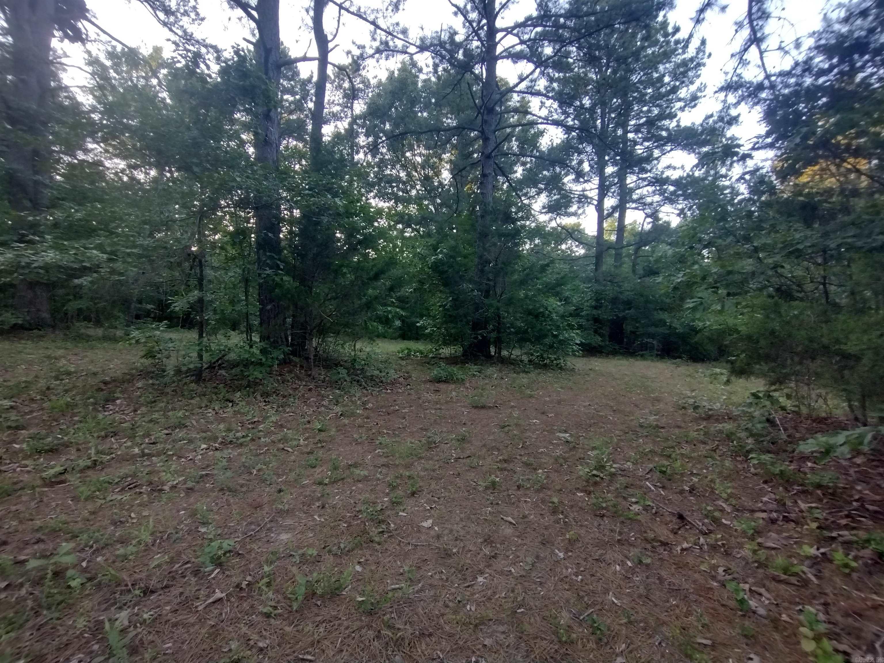 Tract 3 Alamo DR Property Photo 1