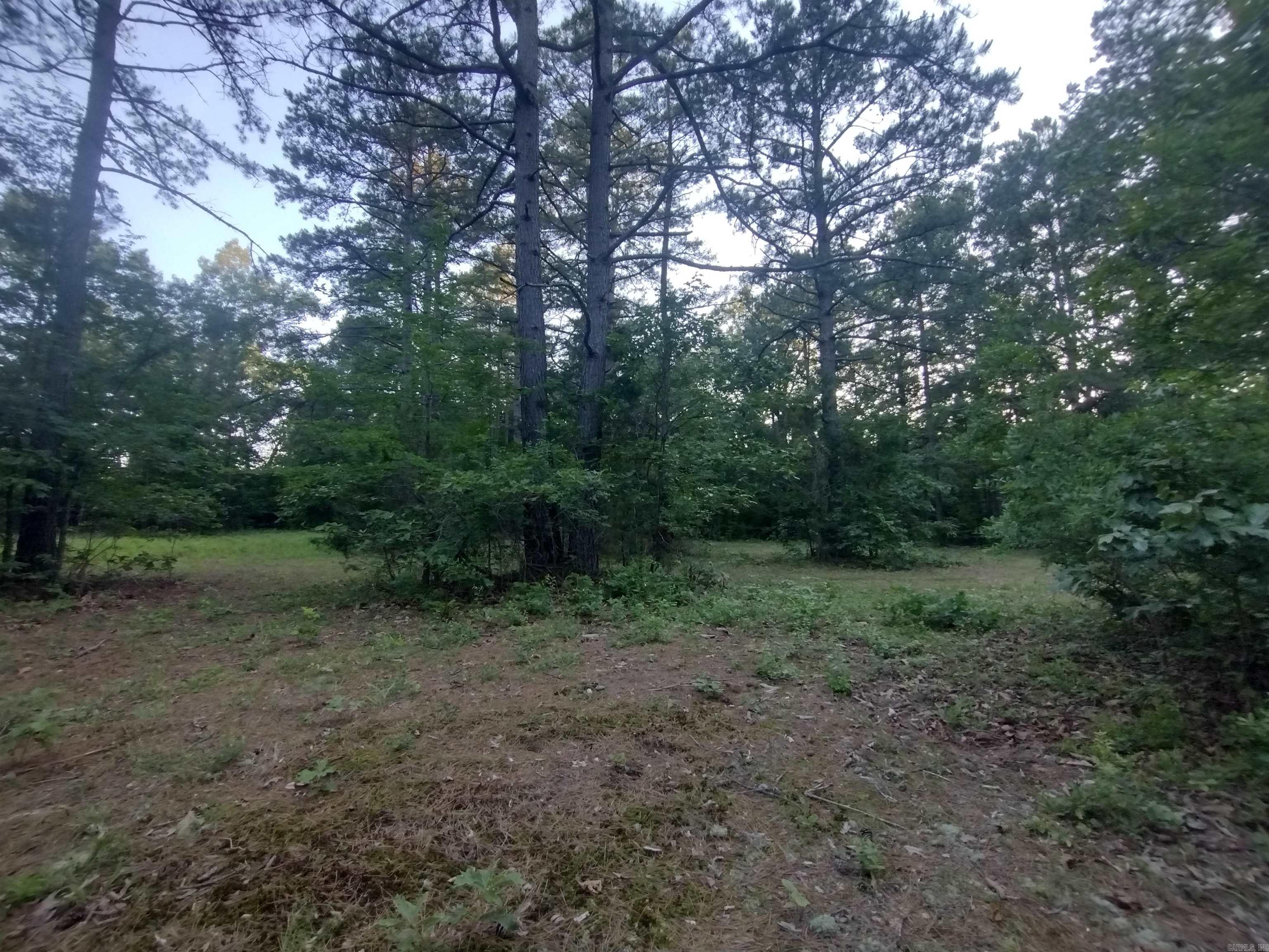 Tract 3 Alamo Dr Property Photo 2