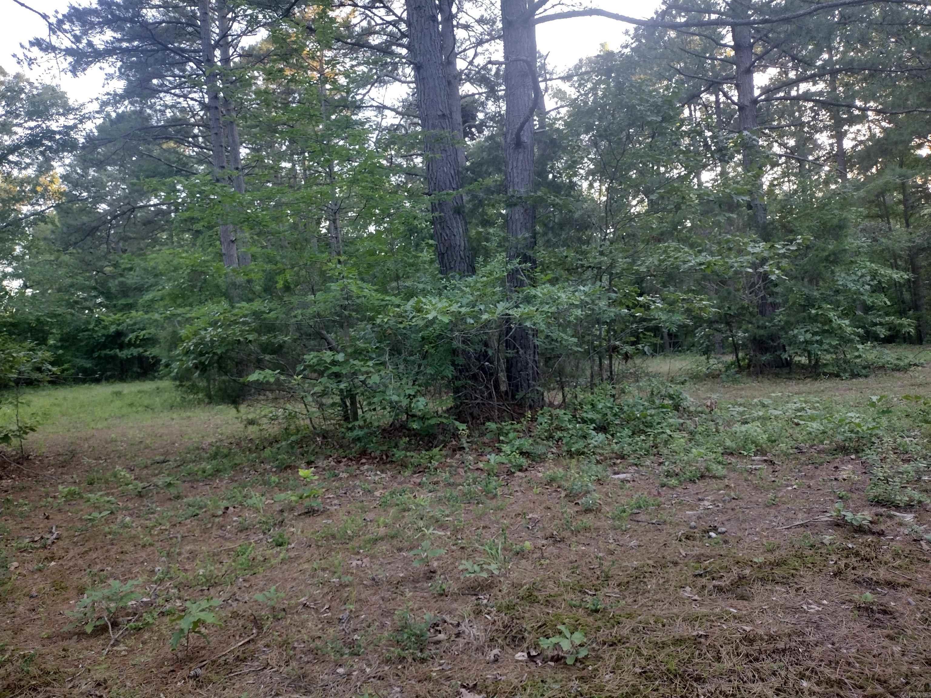 Tract 3 Alamo Dr Property Photo 3