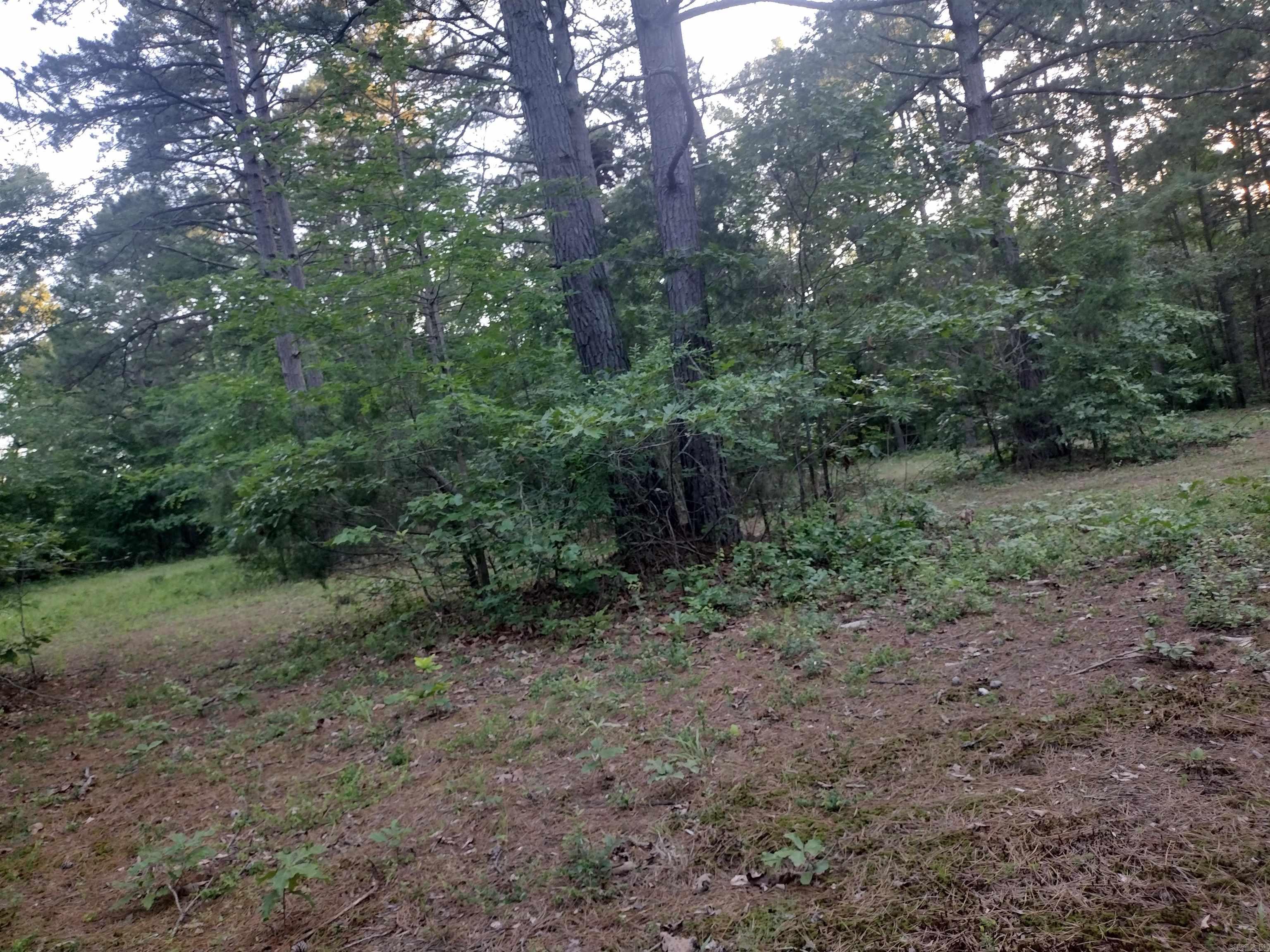 Tract 3 Alamo Dr Property Photo 4