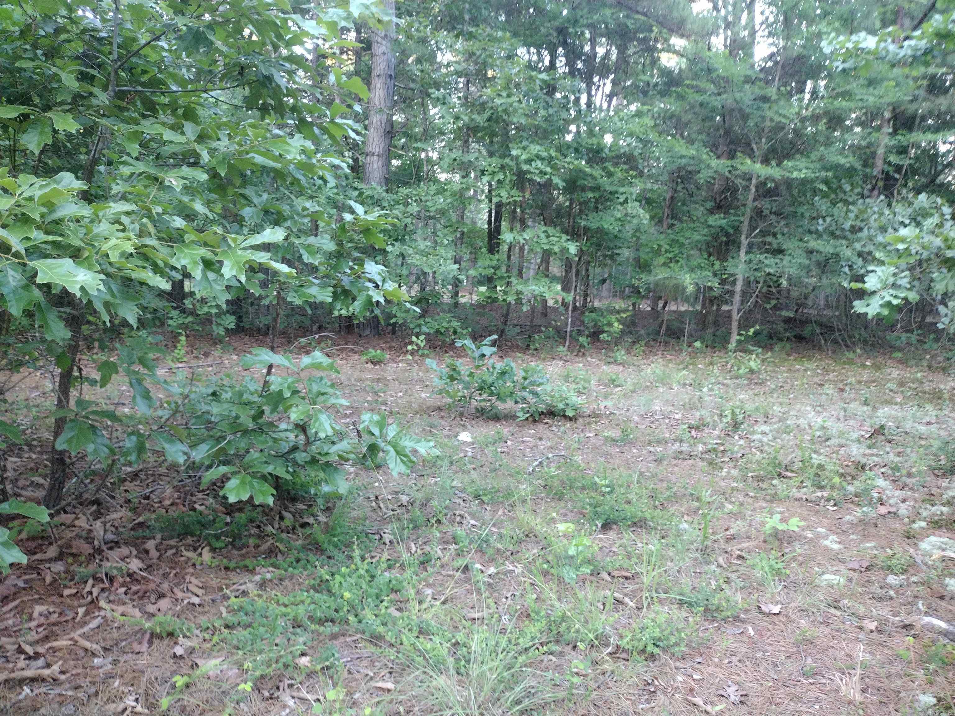 Tract 3 Alamo Dr Property Photo 5