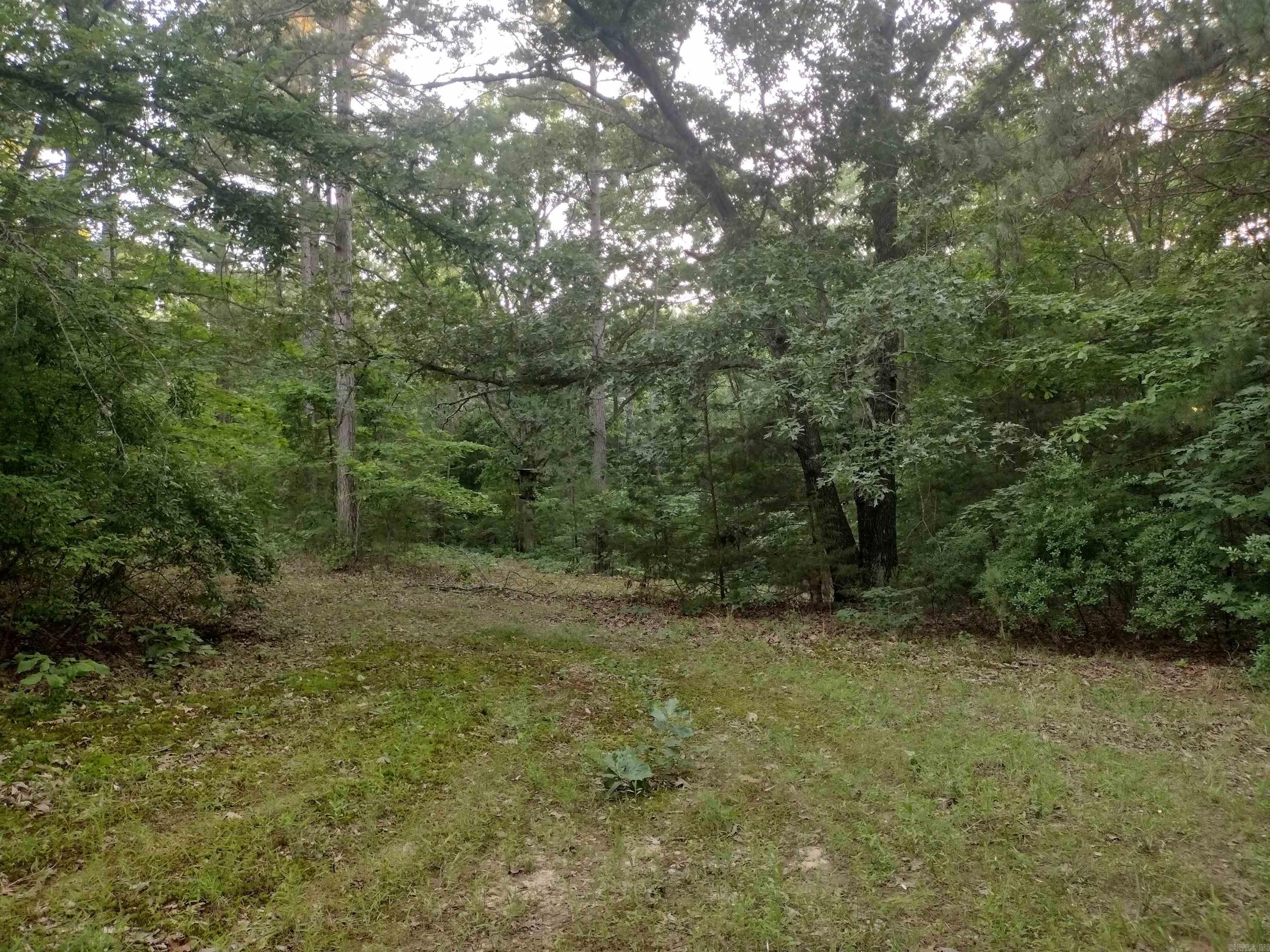 Tract 3 Alamo Dr Property Photo 6