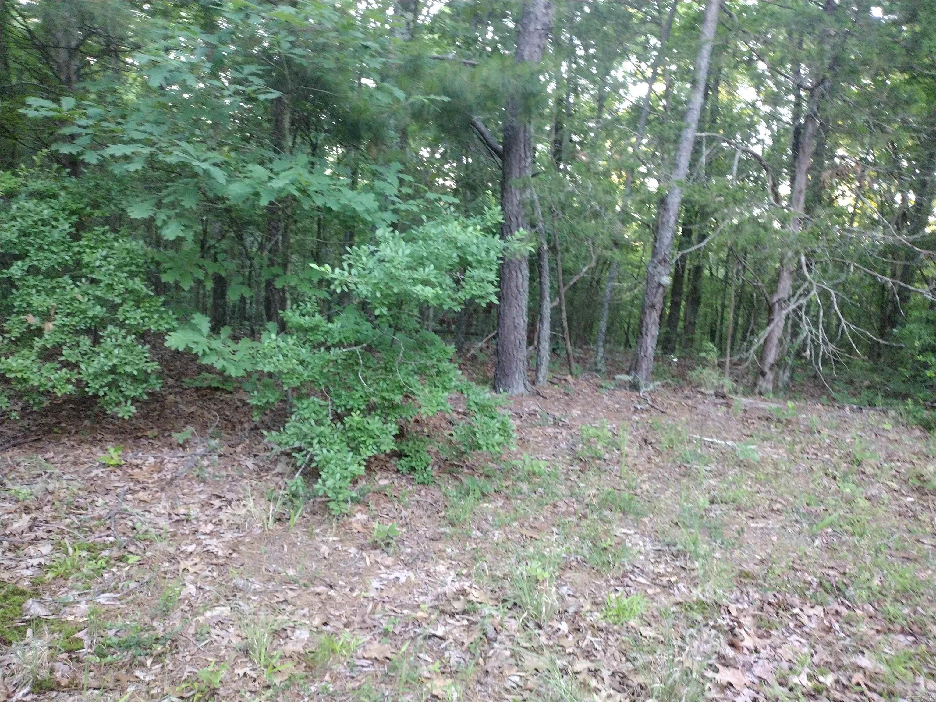Tract 3 Alamo Dr Property Photo 7