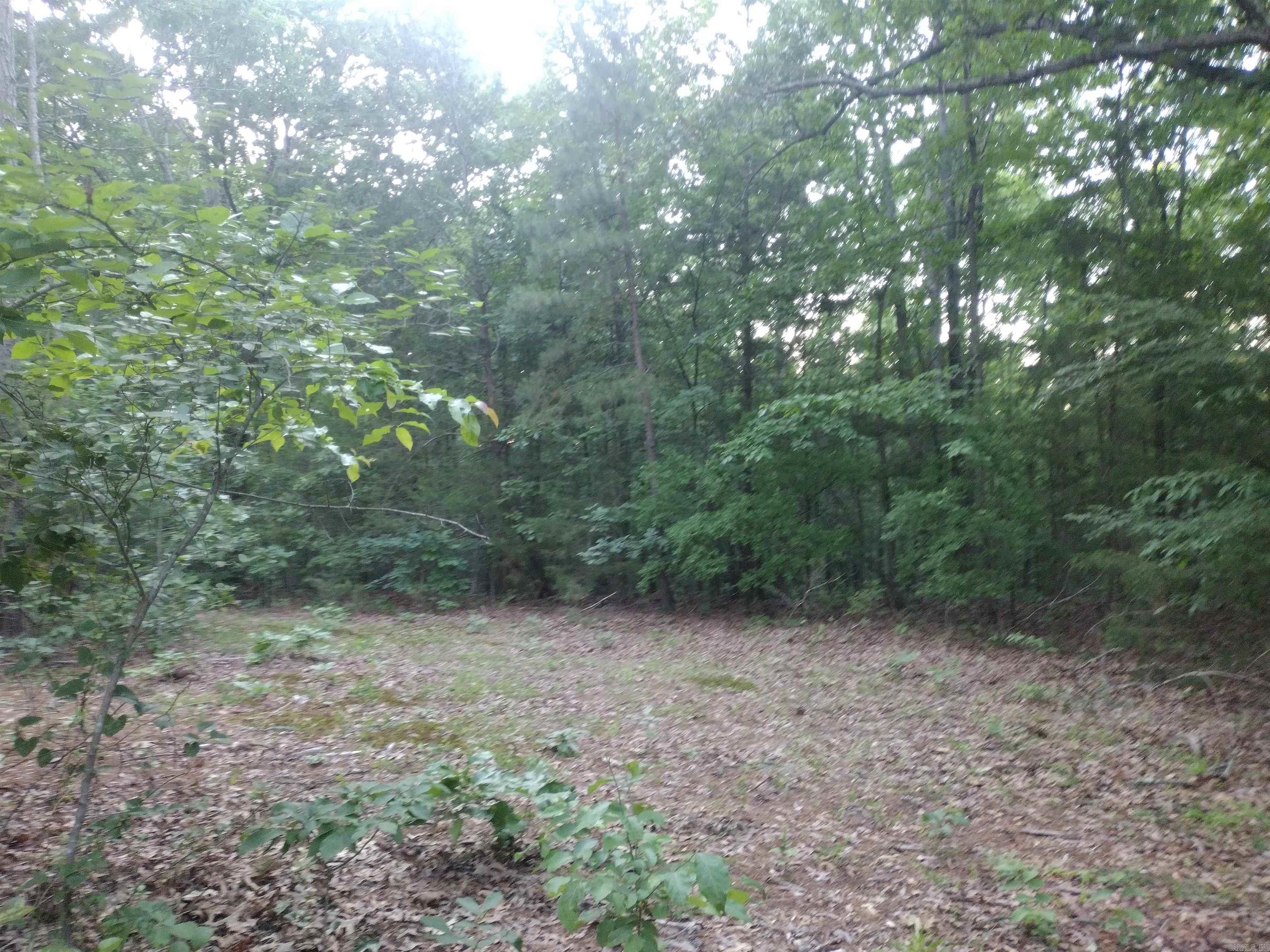 Tract 3 Alamo Dr Property Photo 8