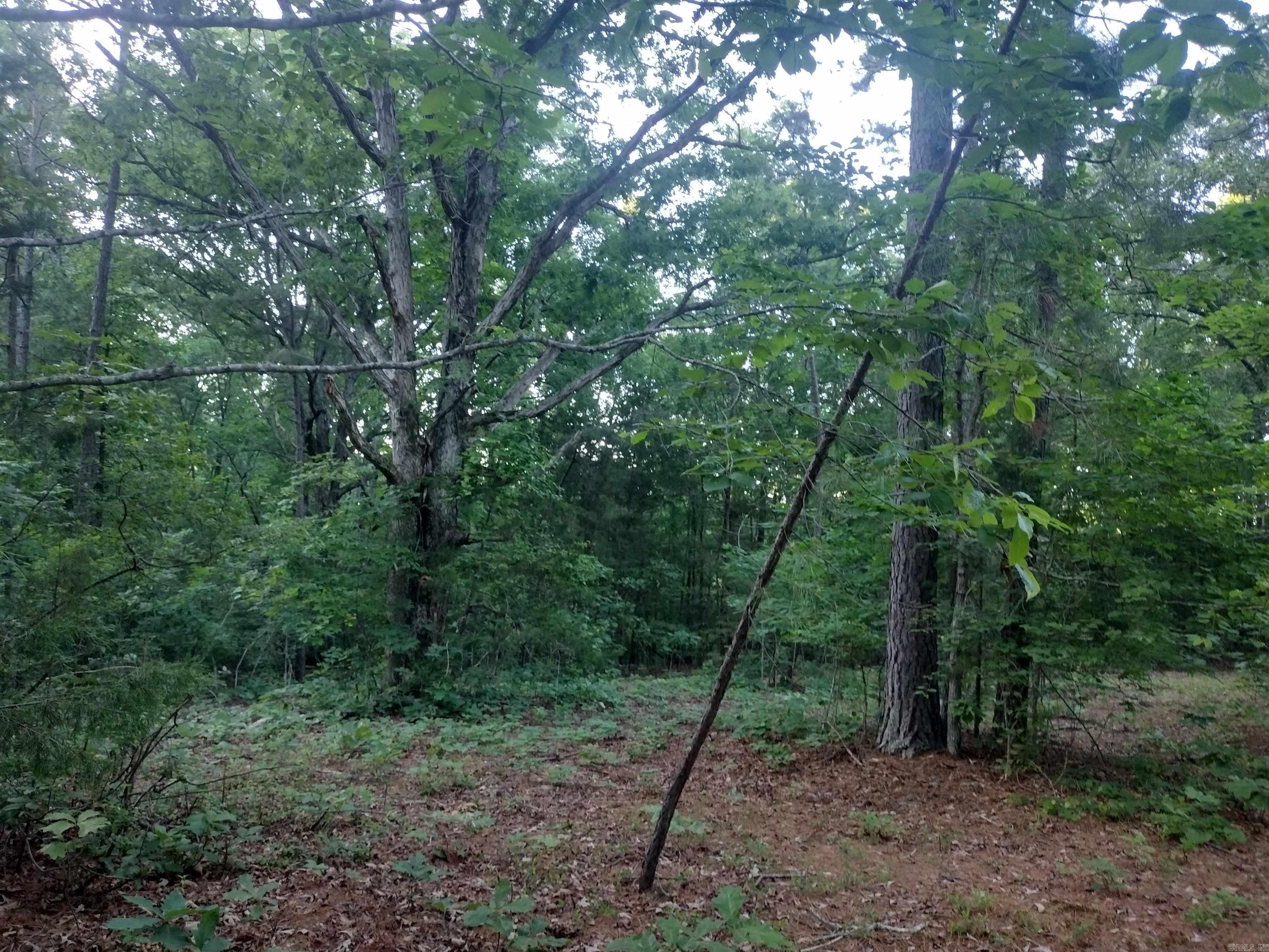 Tract 3 Alamo Dr Property Photo 9