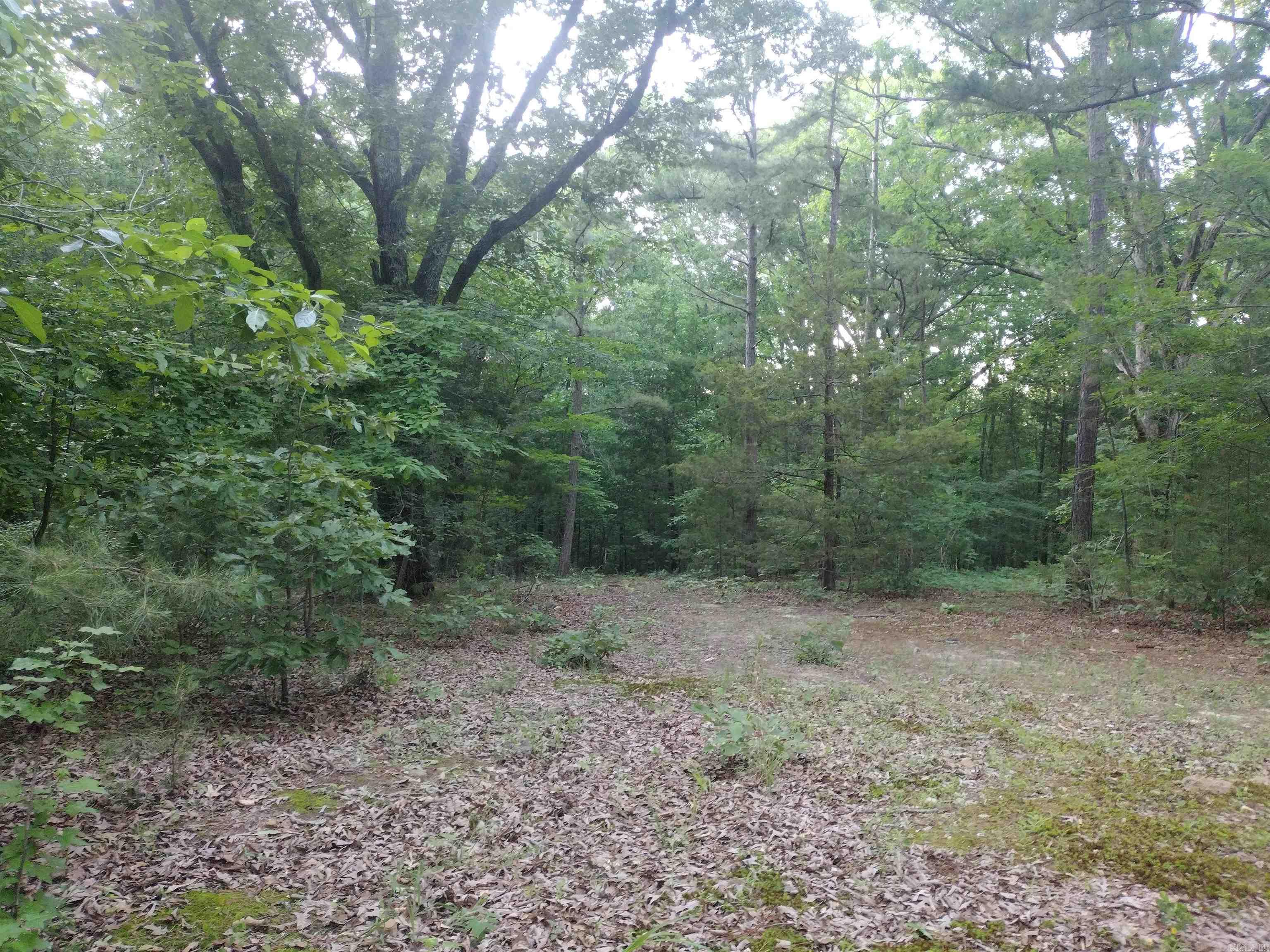 Tract 3 Alamo Dr Property Photo 10